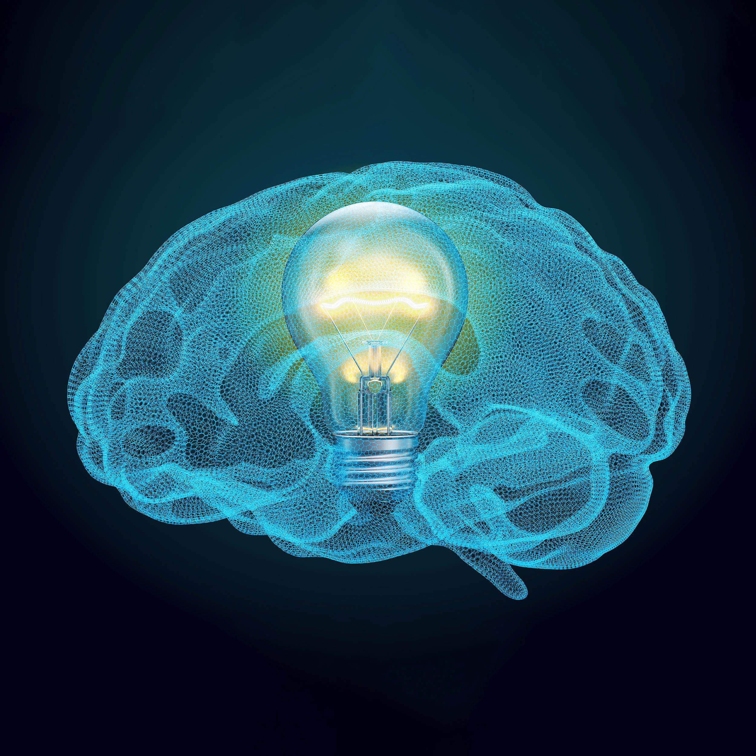 New evidence suggests humanity's unique mental edge over the animal kingdom is an evolutionary myth