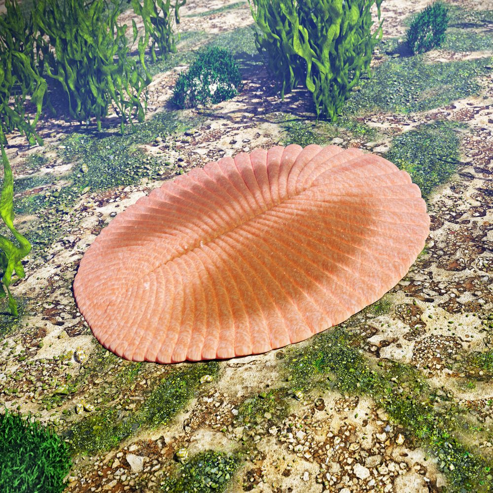 The Kotlin Crisis: Earth’s first mass extinction may have been far worse than previously believed