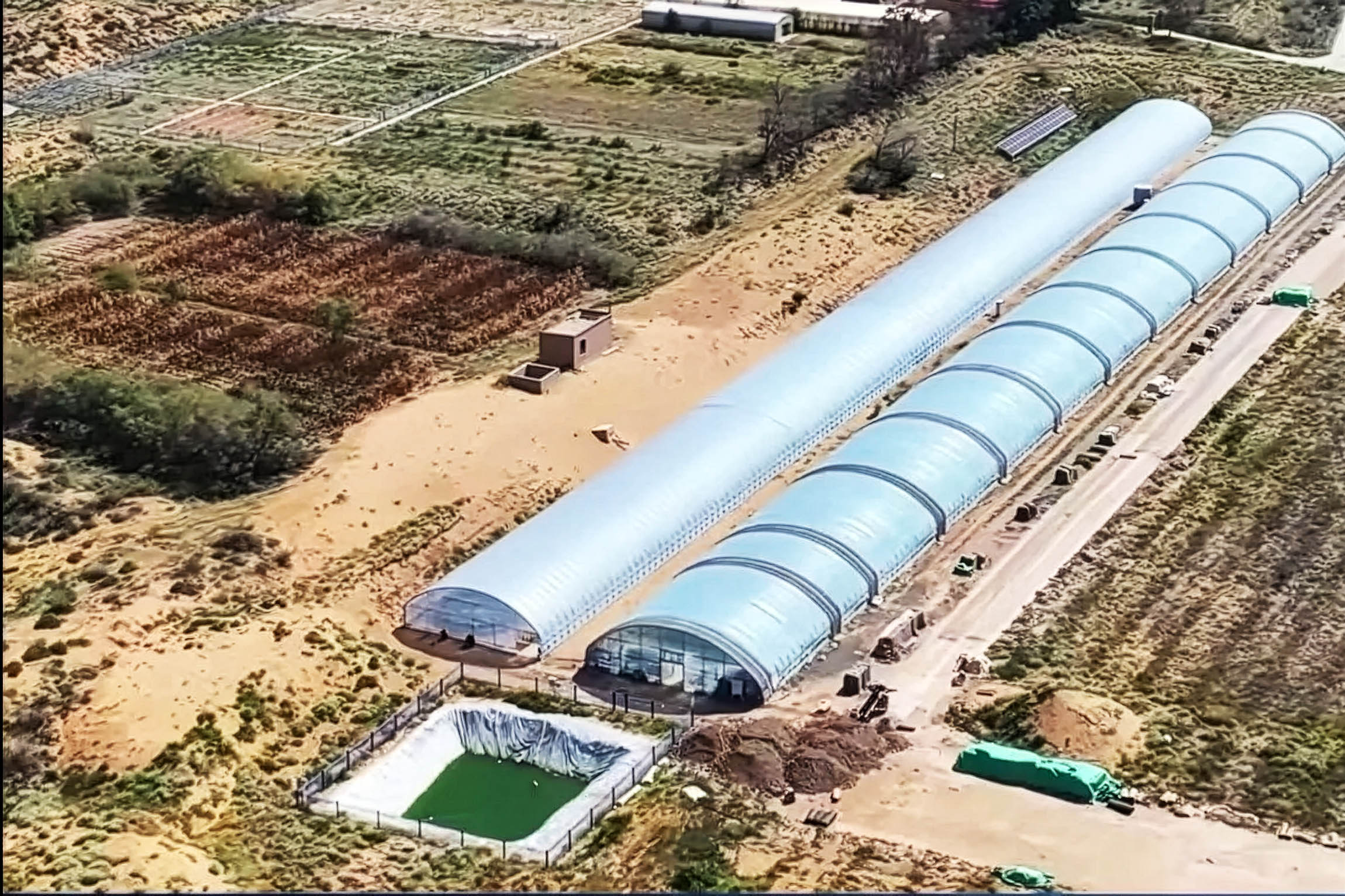 China invents game-changing process that turns desert sand into fertile soil in just 10 months