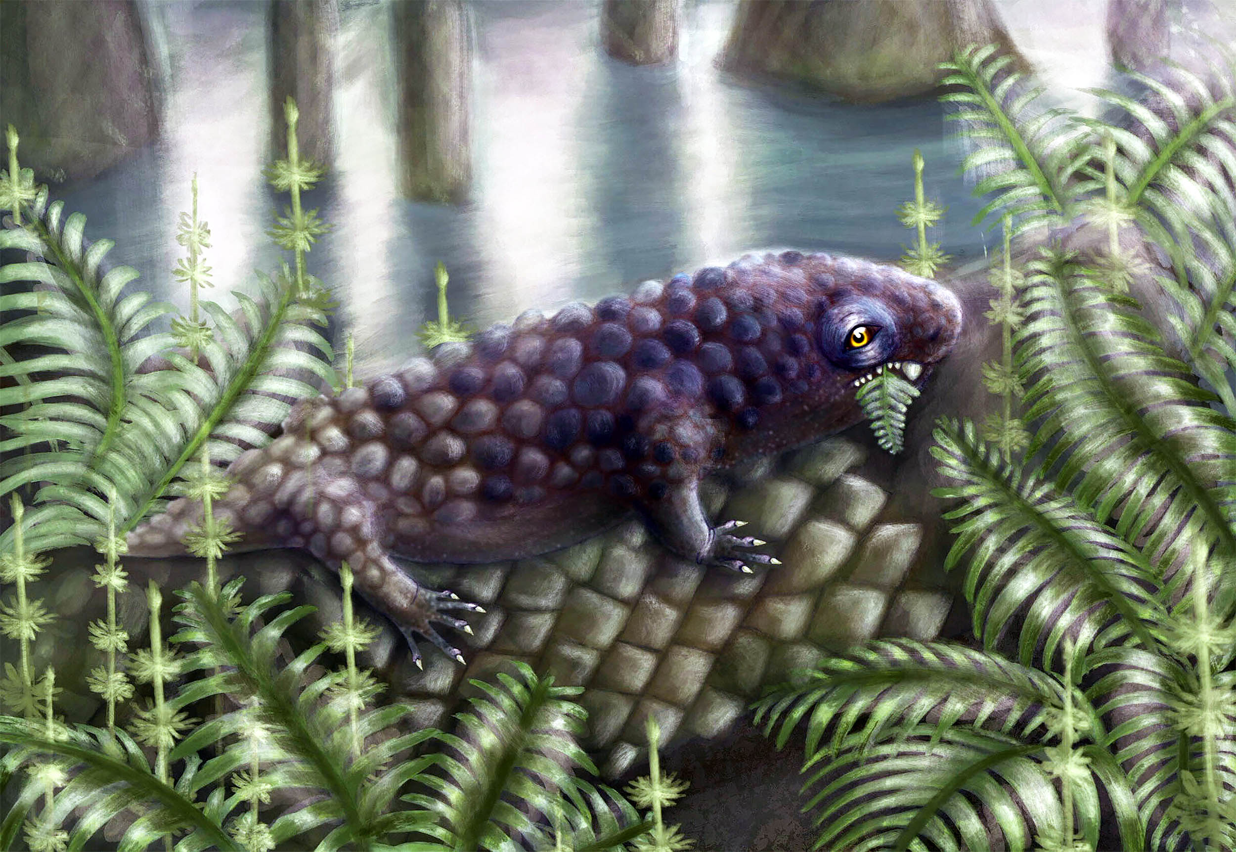 Scientists think this is the first plant-eating land animal