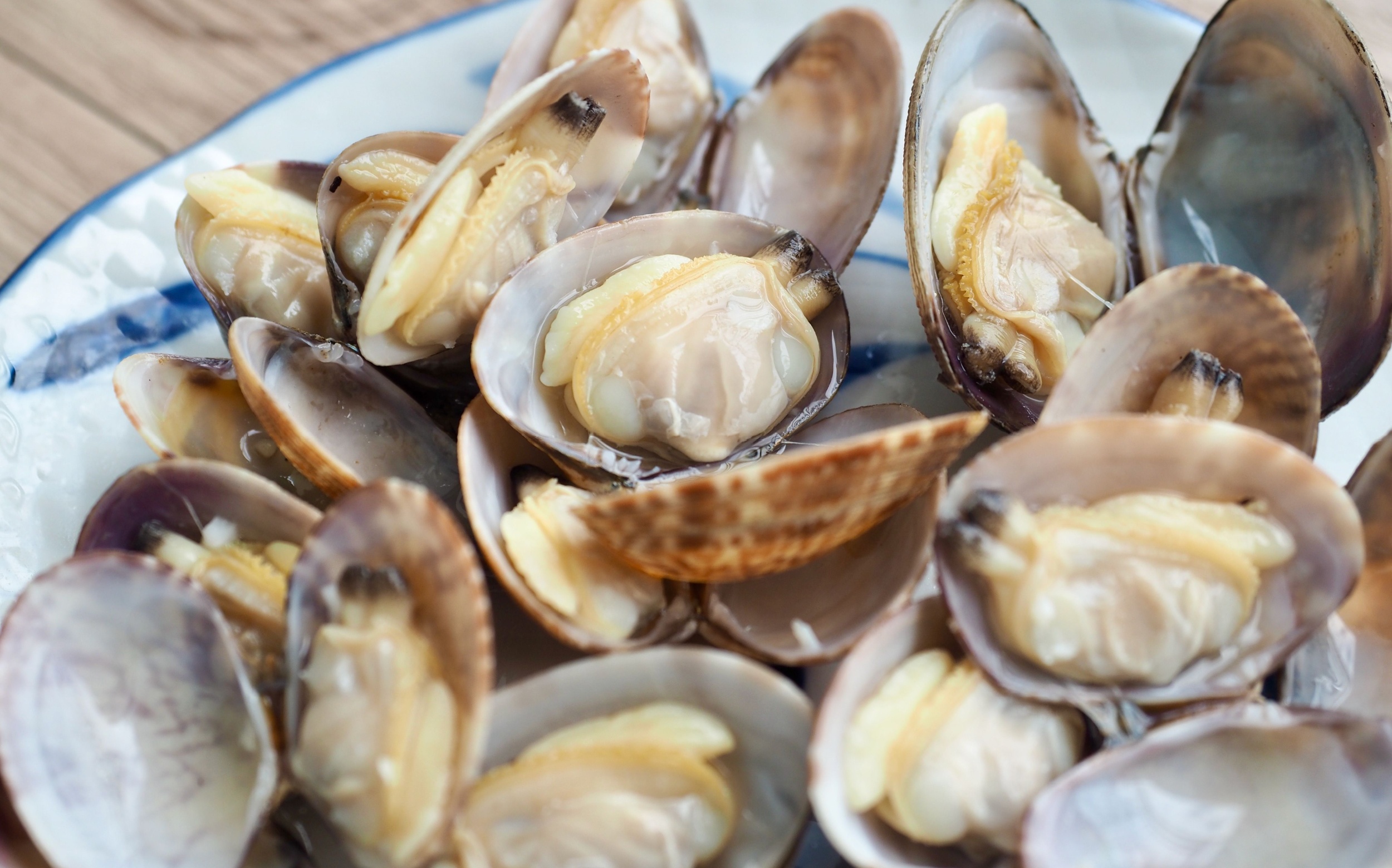 Open-ocean clam farming could reshape the seafood industry