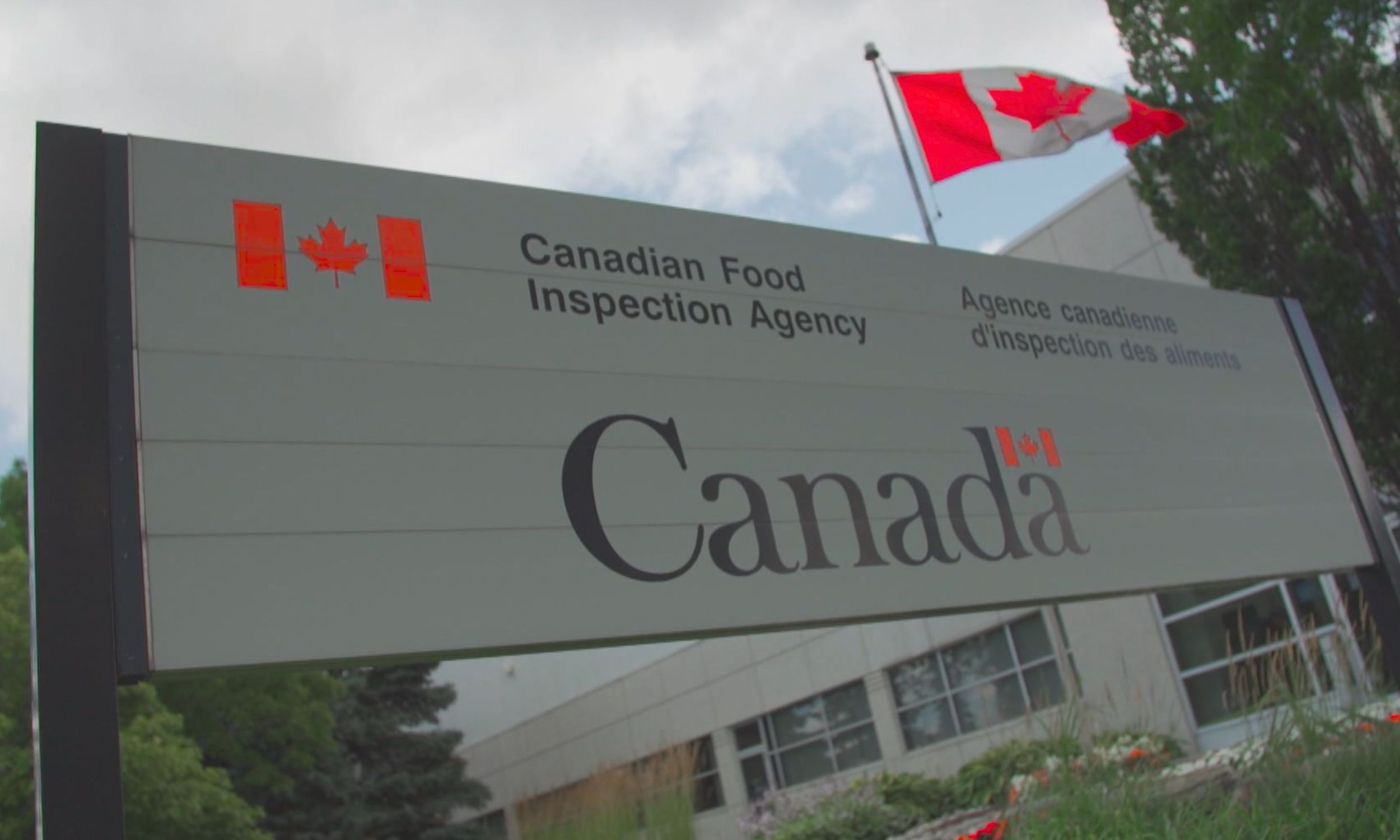 National Salmonella alert for pistachio products in Canada