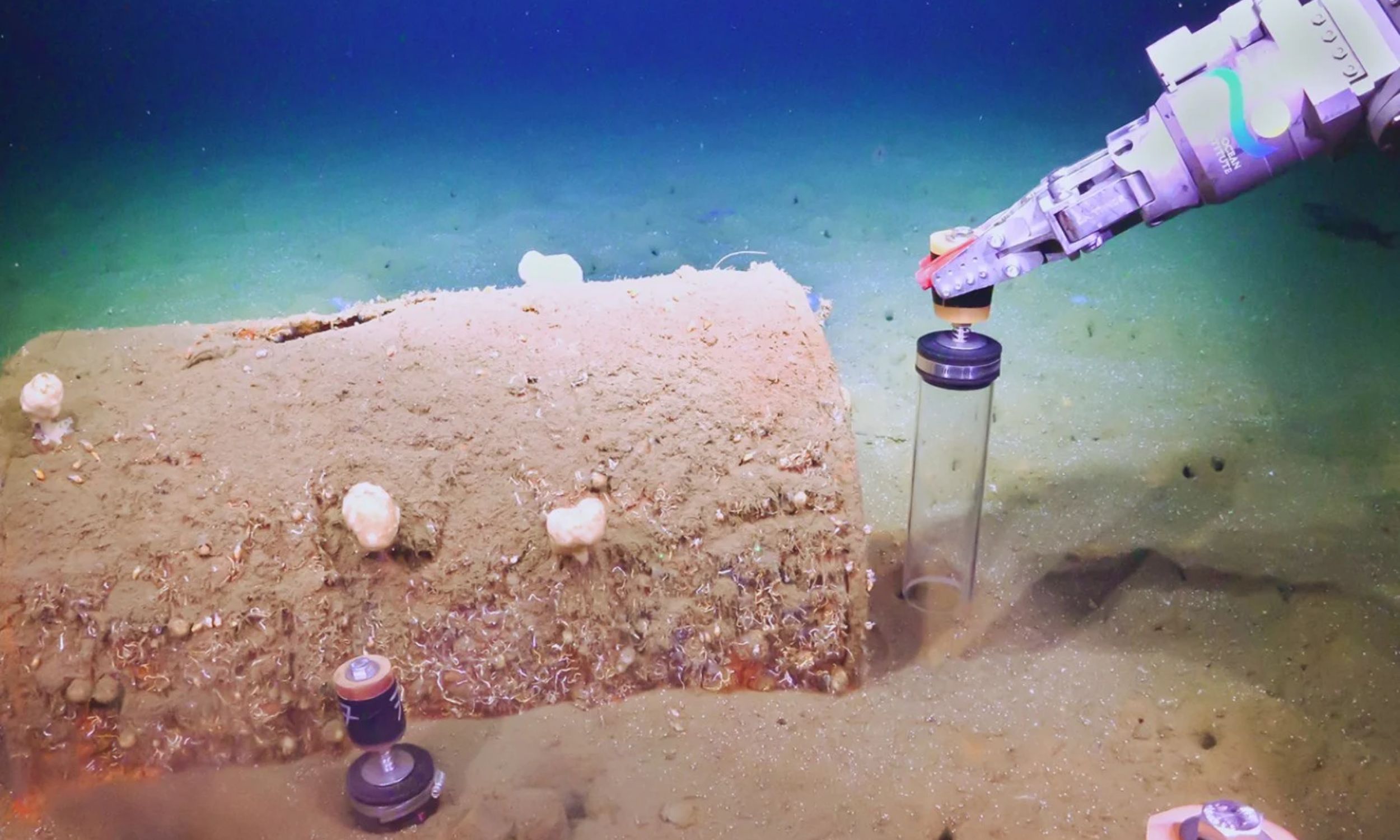 US officials dumped thousands of barrels of toxic waste into the ocean, and now they are leaking