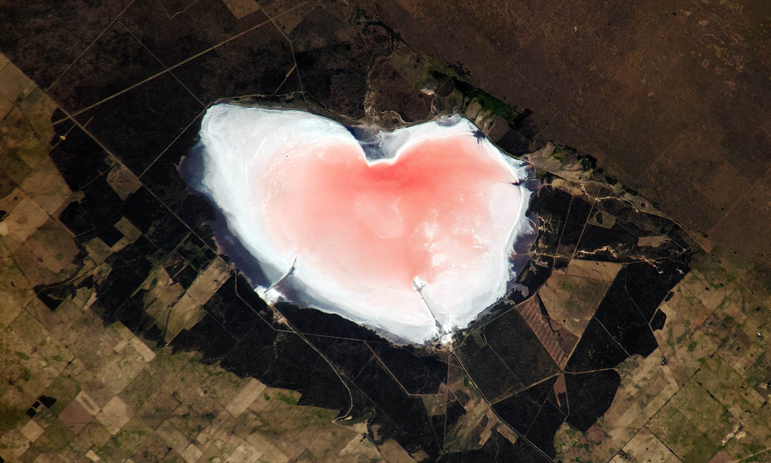 NASA captures a heart-shaped pink lake from the International Space Station