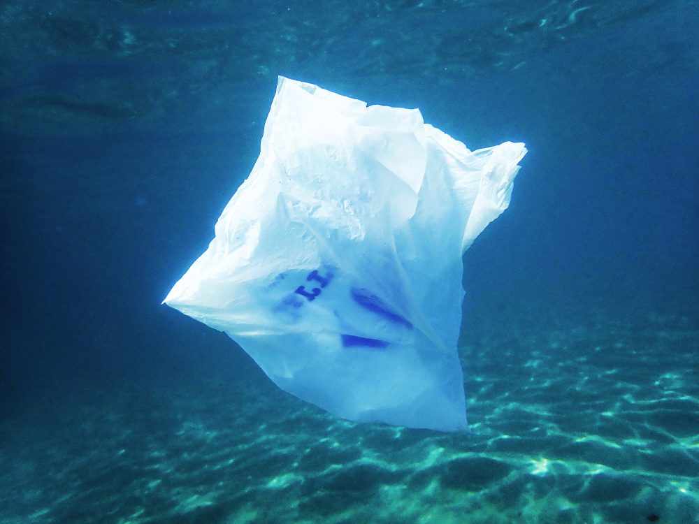 Scientists create plastic that completely dissolves in seawater within hours