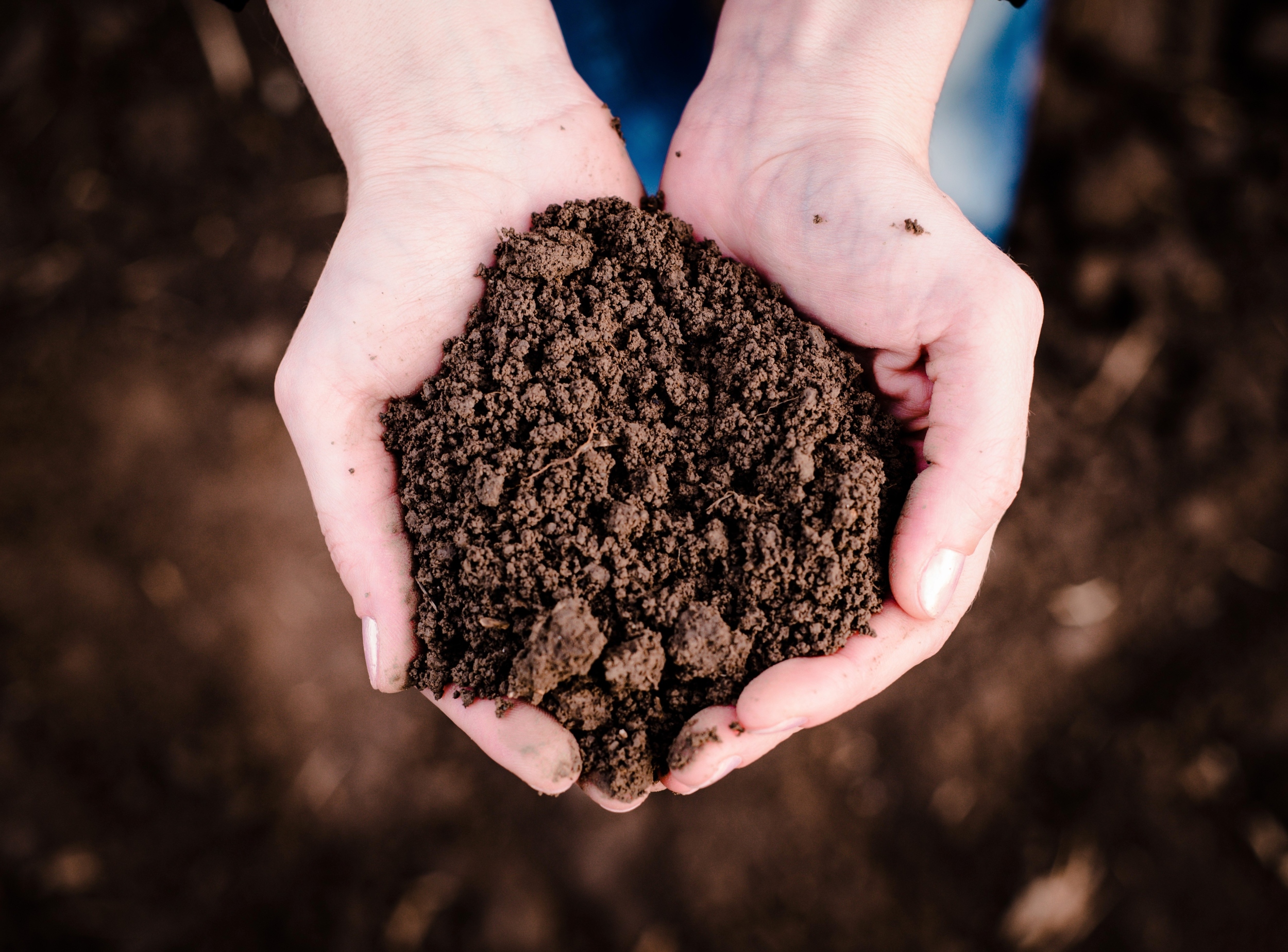Farmers can measure soil health by analyzing its color