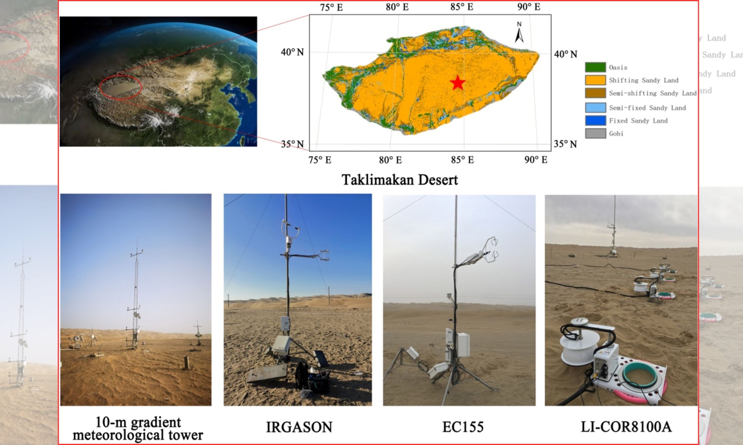 China’s Taklamakan Desert edge now absorbs CO2 each summer