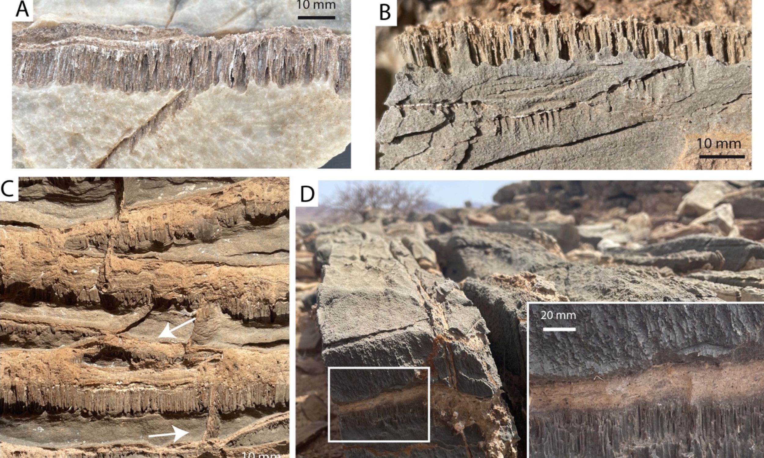 Parallel microtunnels in rock defy geological explanation