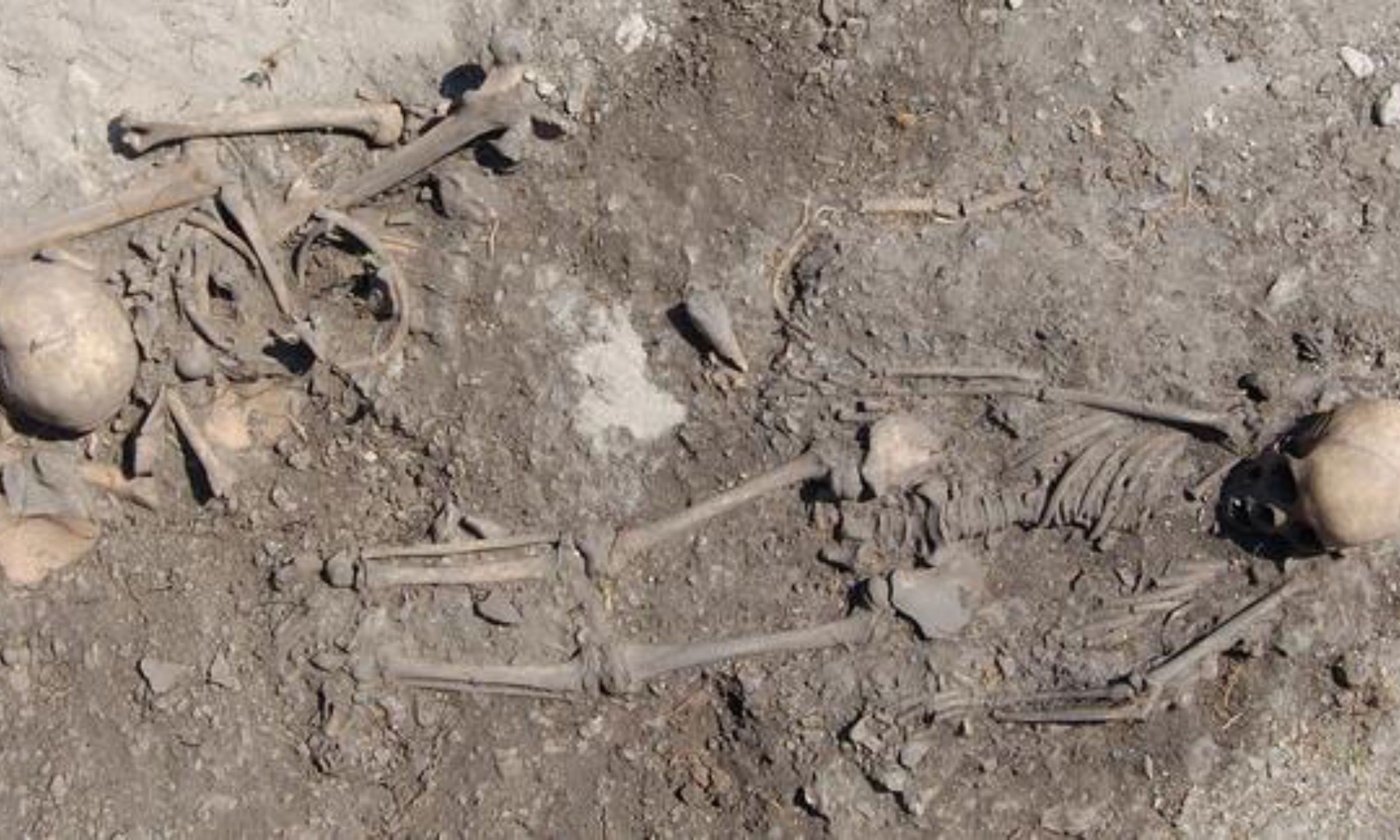 Stone Age cemetery uncovers complex burial traditions in Sweden
