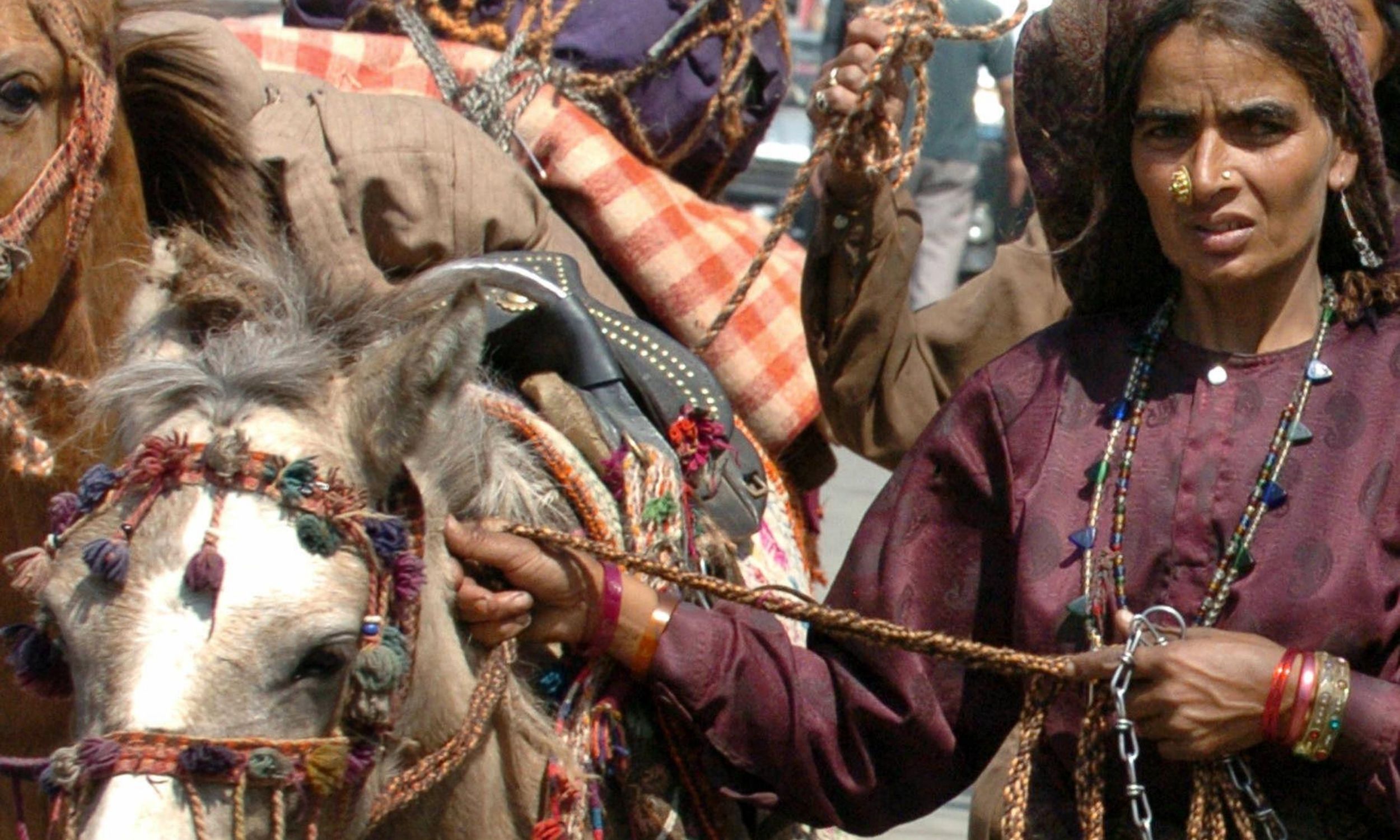 Why ancient migration left most South Asians lactose intolerant