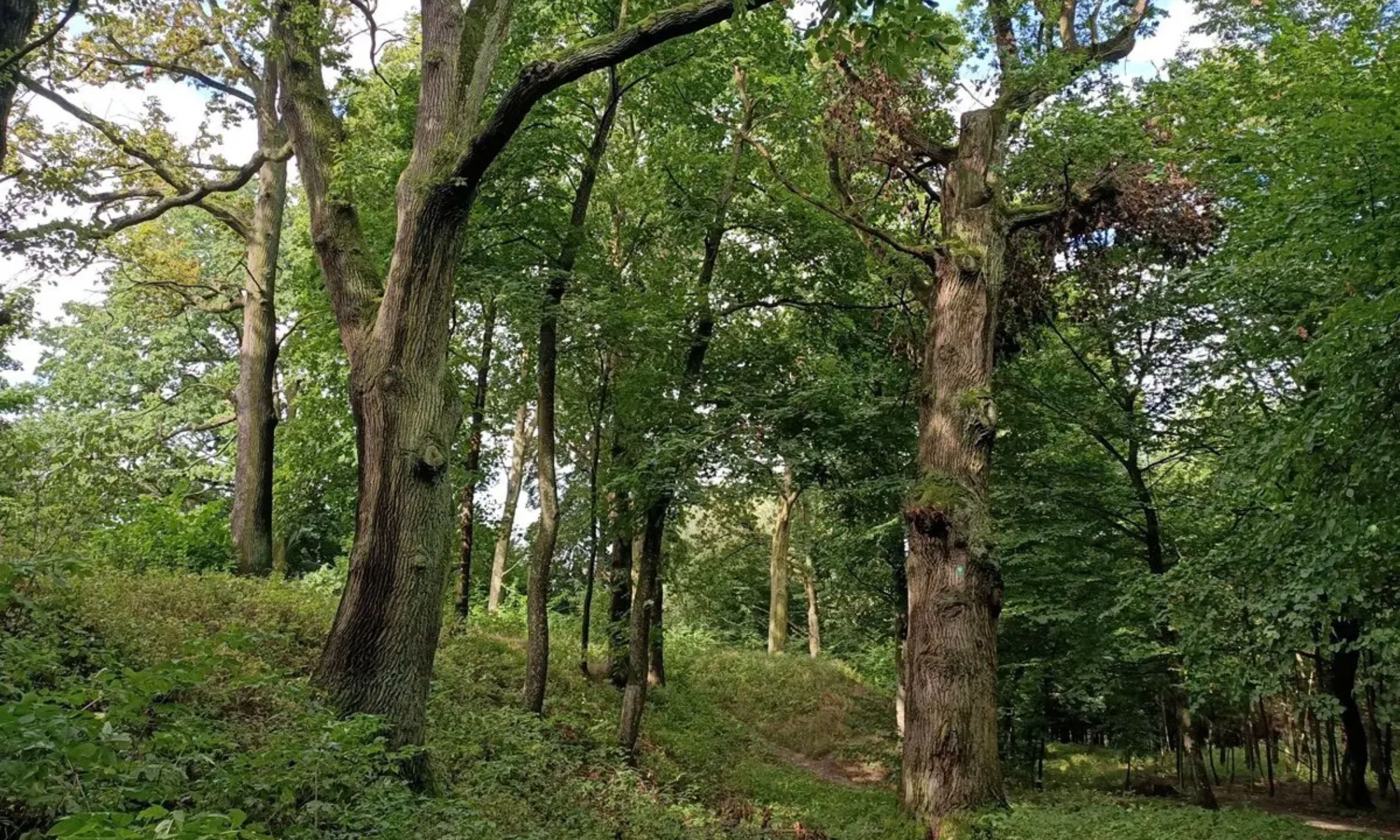 Laser mapping identifies buried bastion fortress in eastern Poland