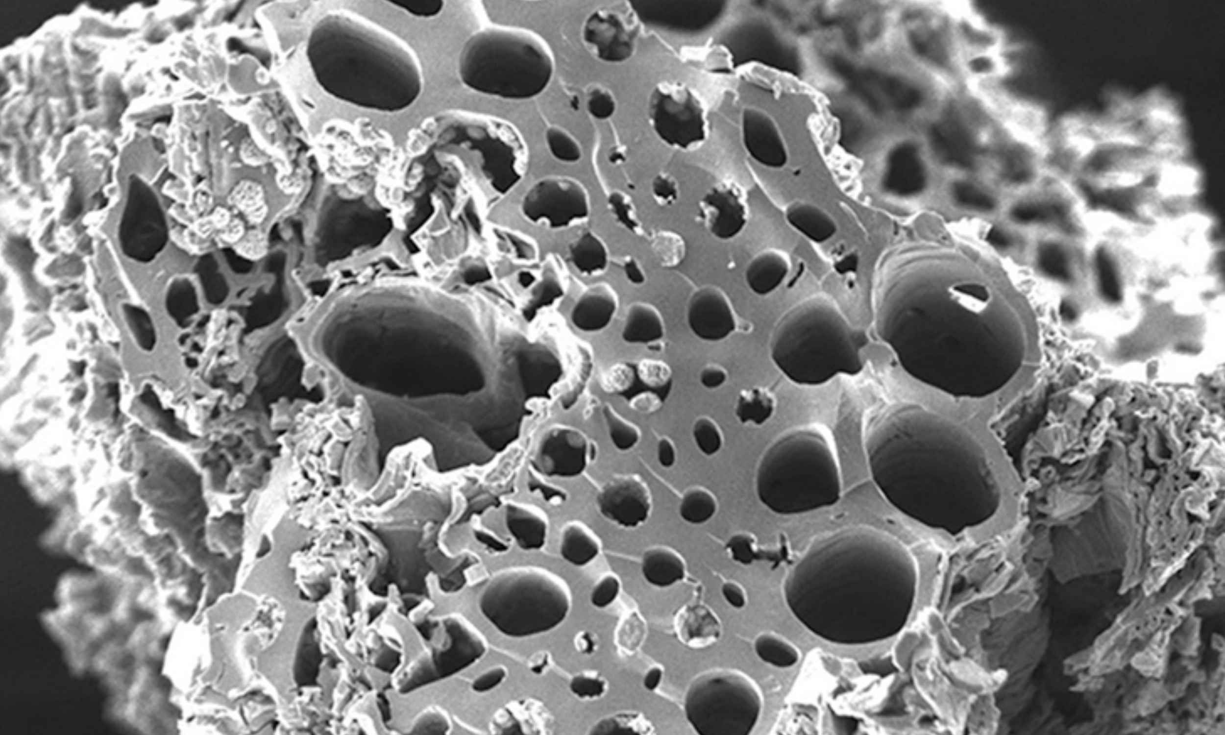 Bronze Age house fire preserved rare blue fabric