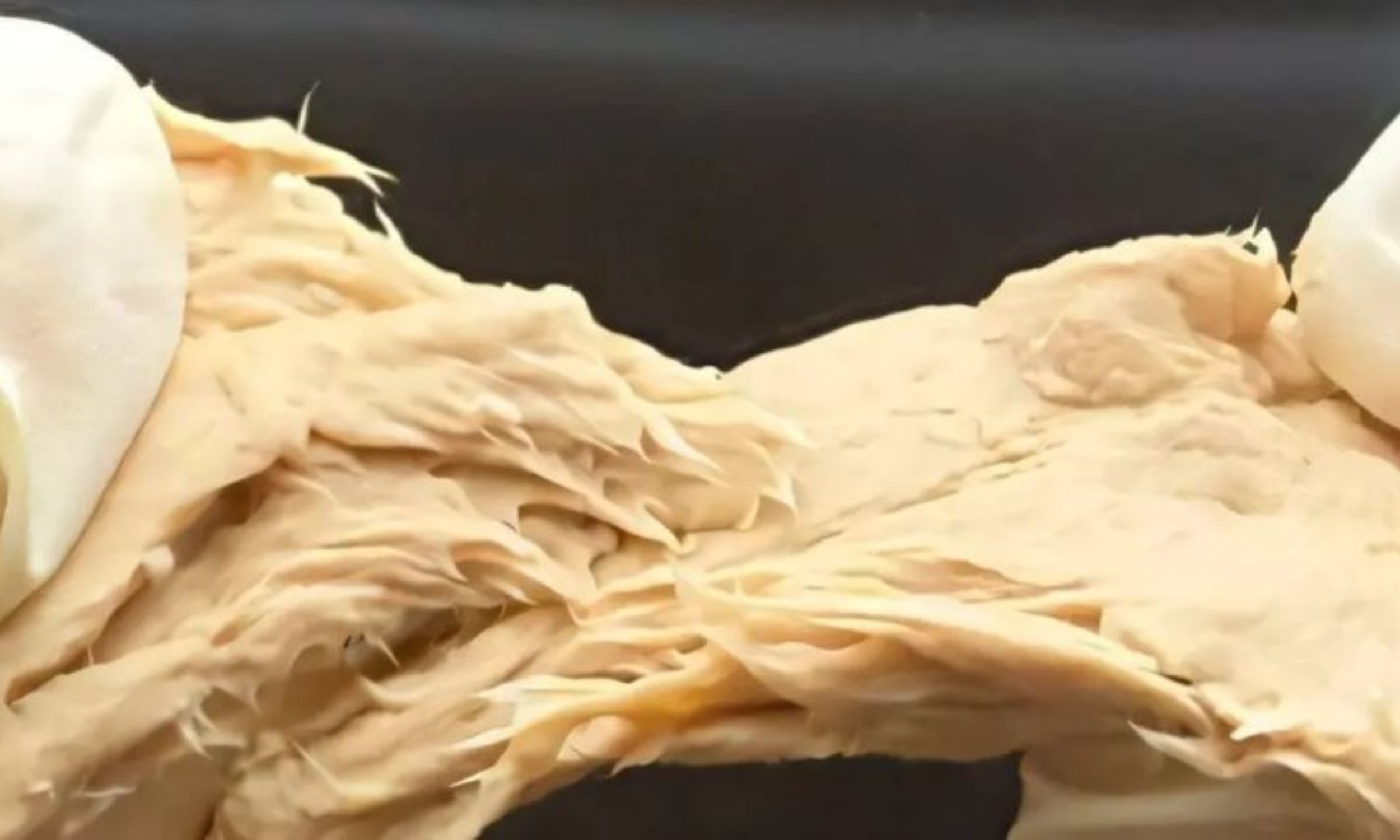 Gene-edited fungus, eyed as a meat replacement, is revolutionizing the food industry