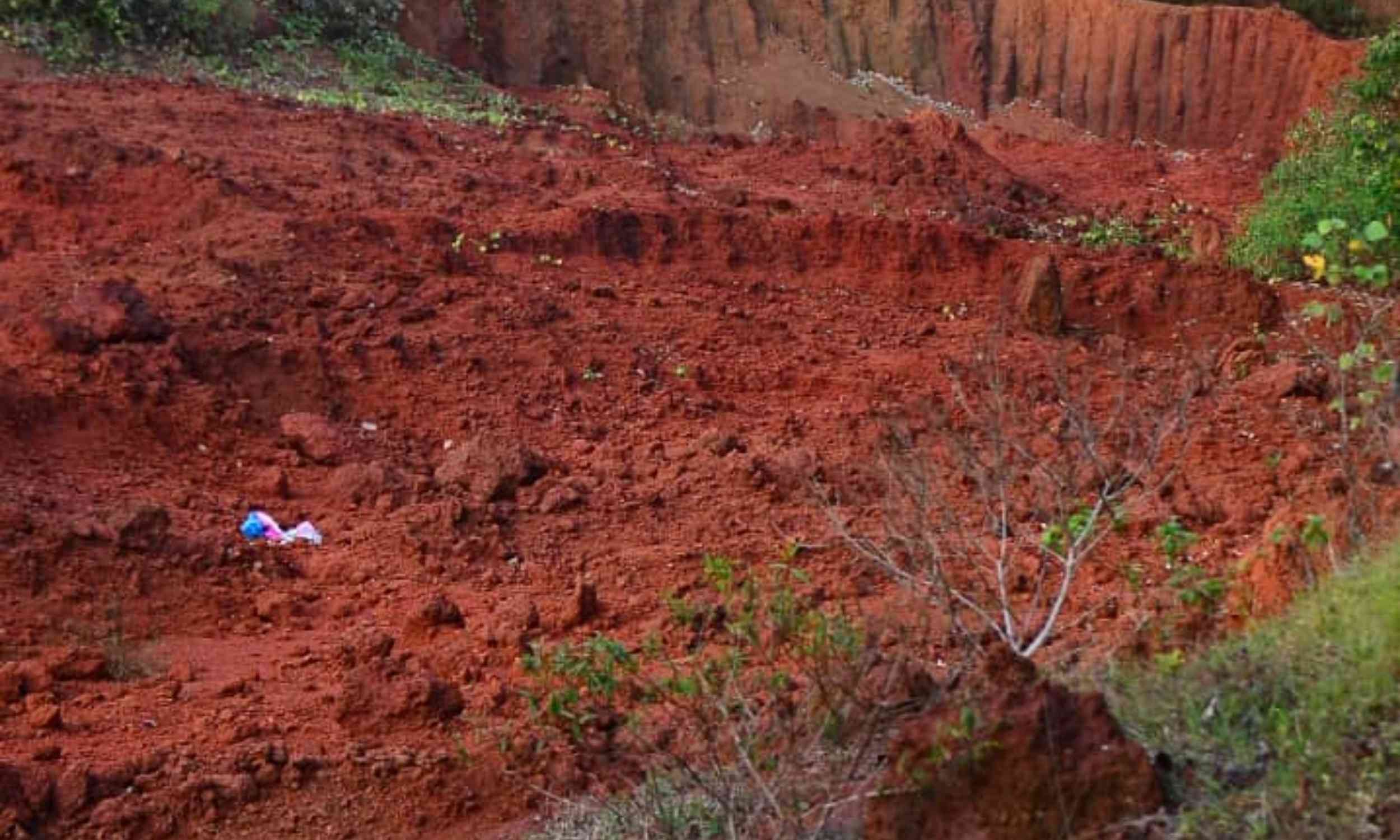 Rare-earth element deposit discovered under a nationally protected forest