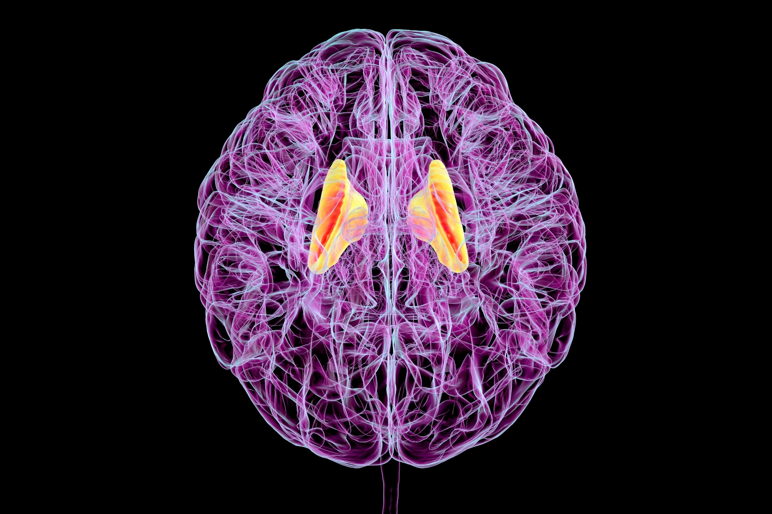 Getting fitter makes each workout more powerful for the brain