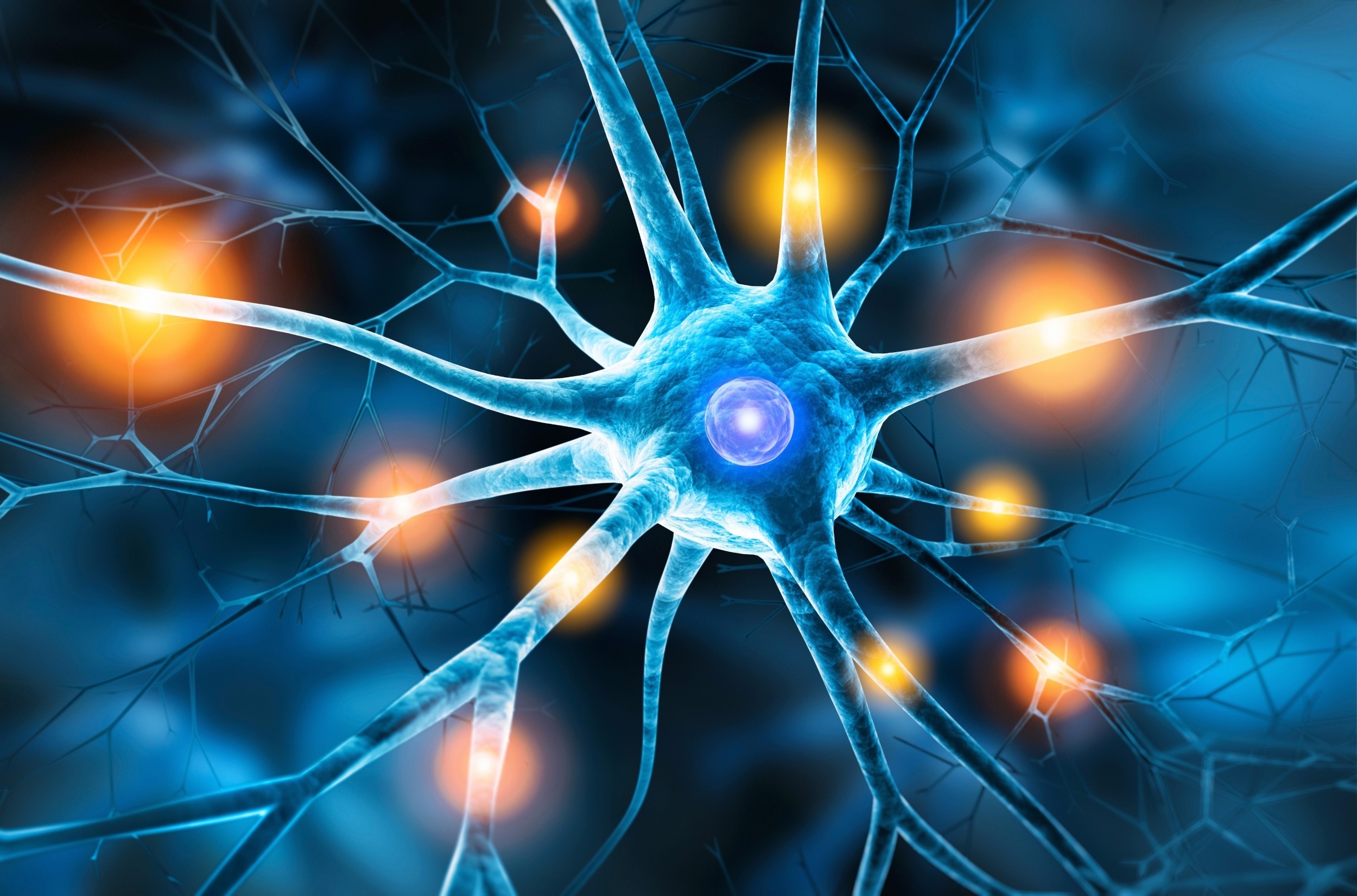 Can adults grow new brain cells? We may finally have the answer