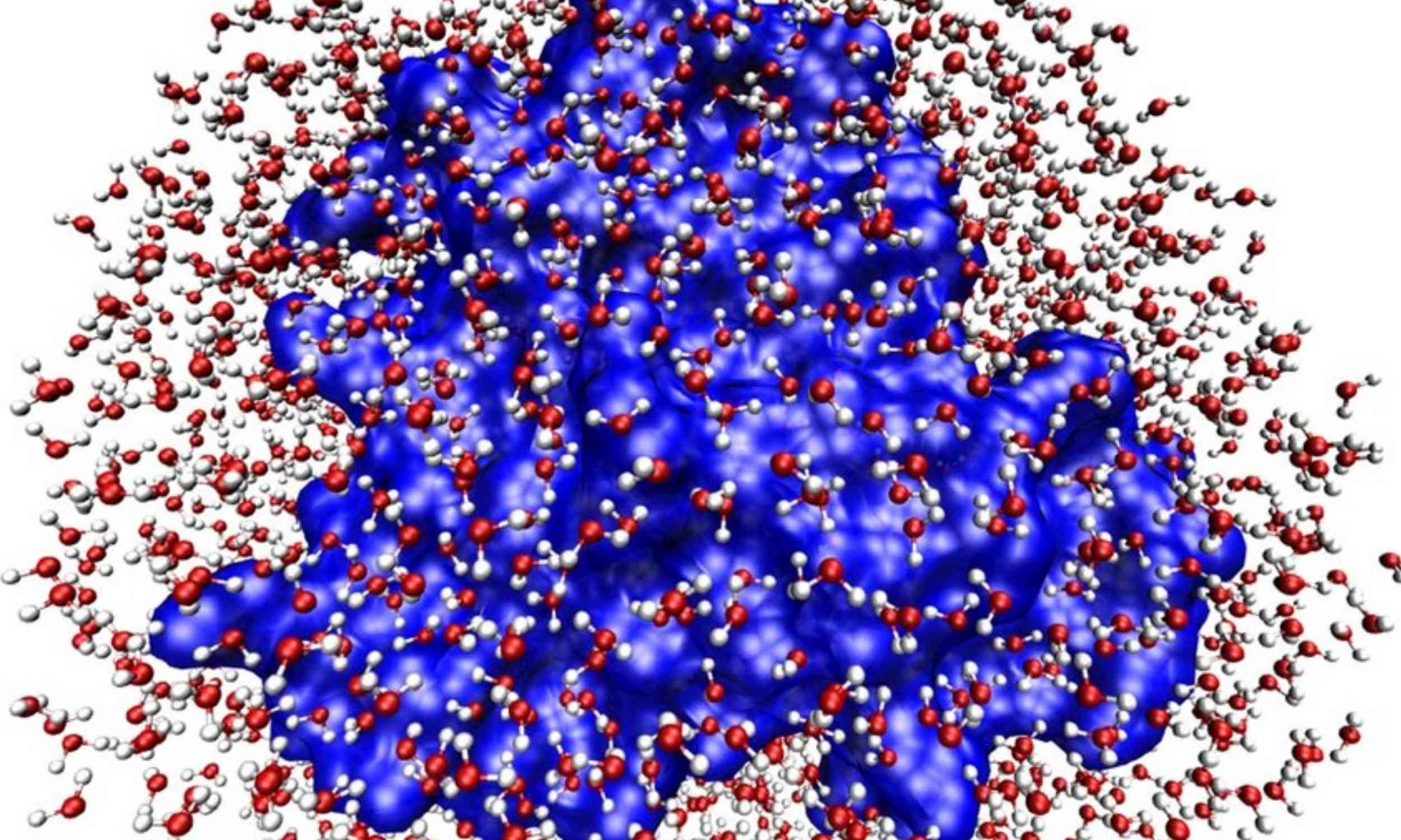 What happens between water and nanoparticles could change the future of precision medicine