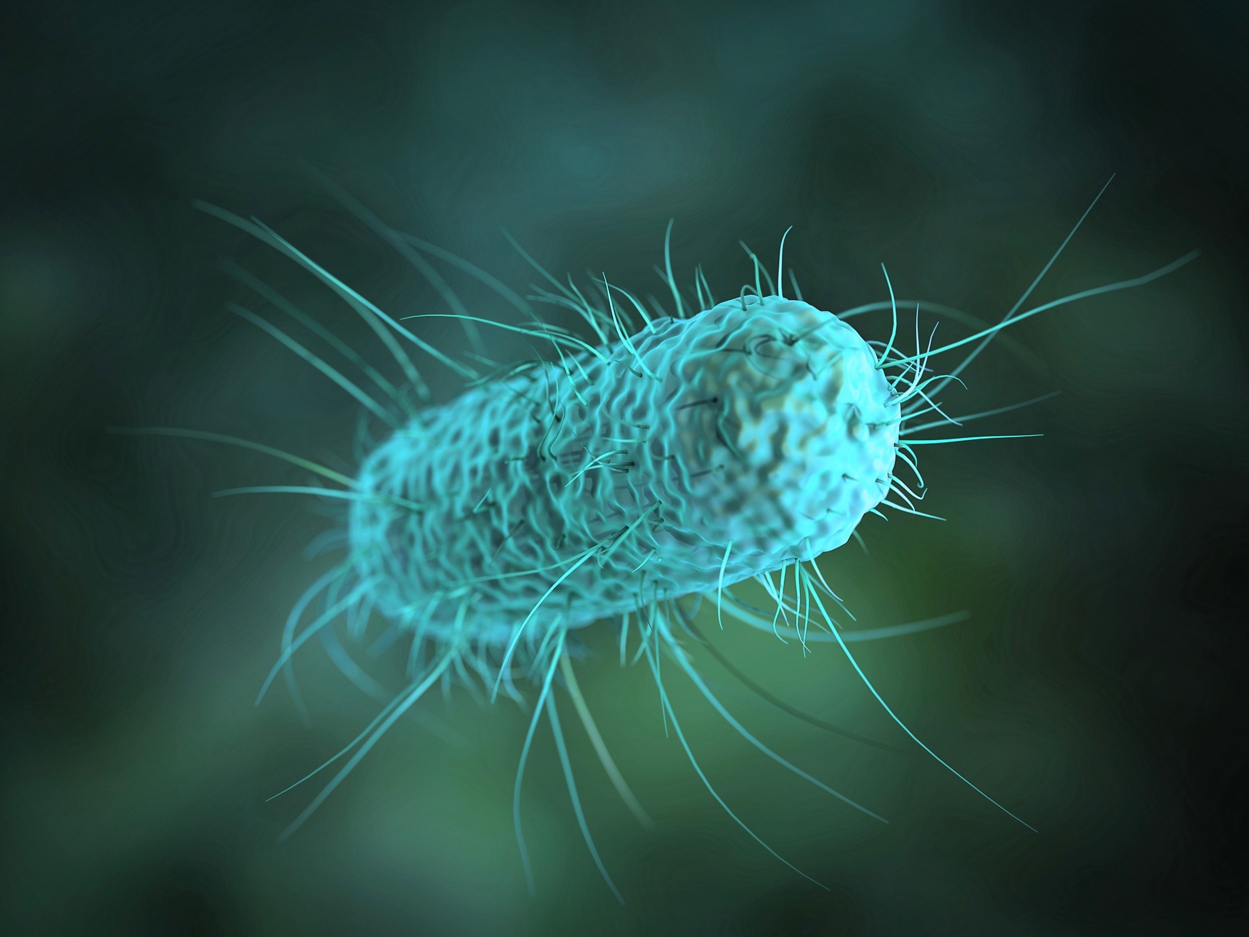 Bacteria labeled 'resistant' may still respond to antibiotics
