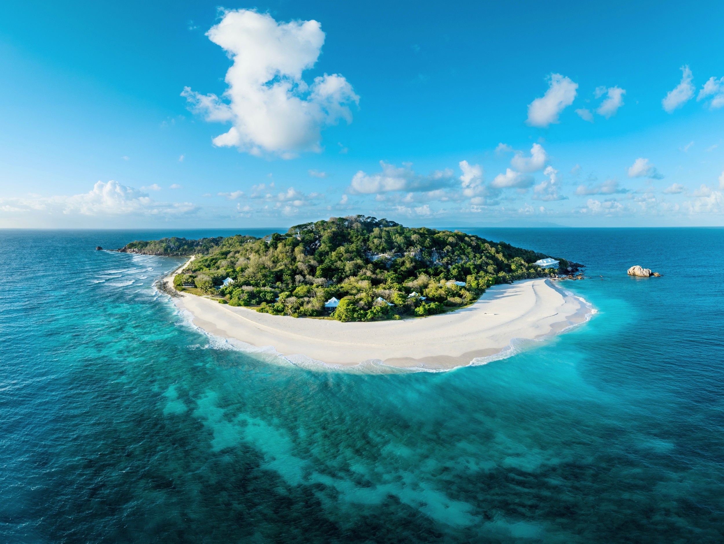 Tiny island bird reveals hidden link between gut microbes and immunity