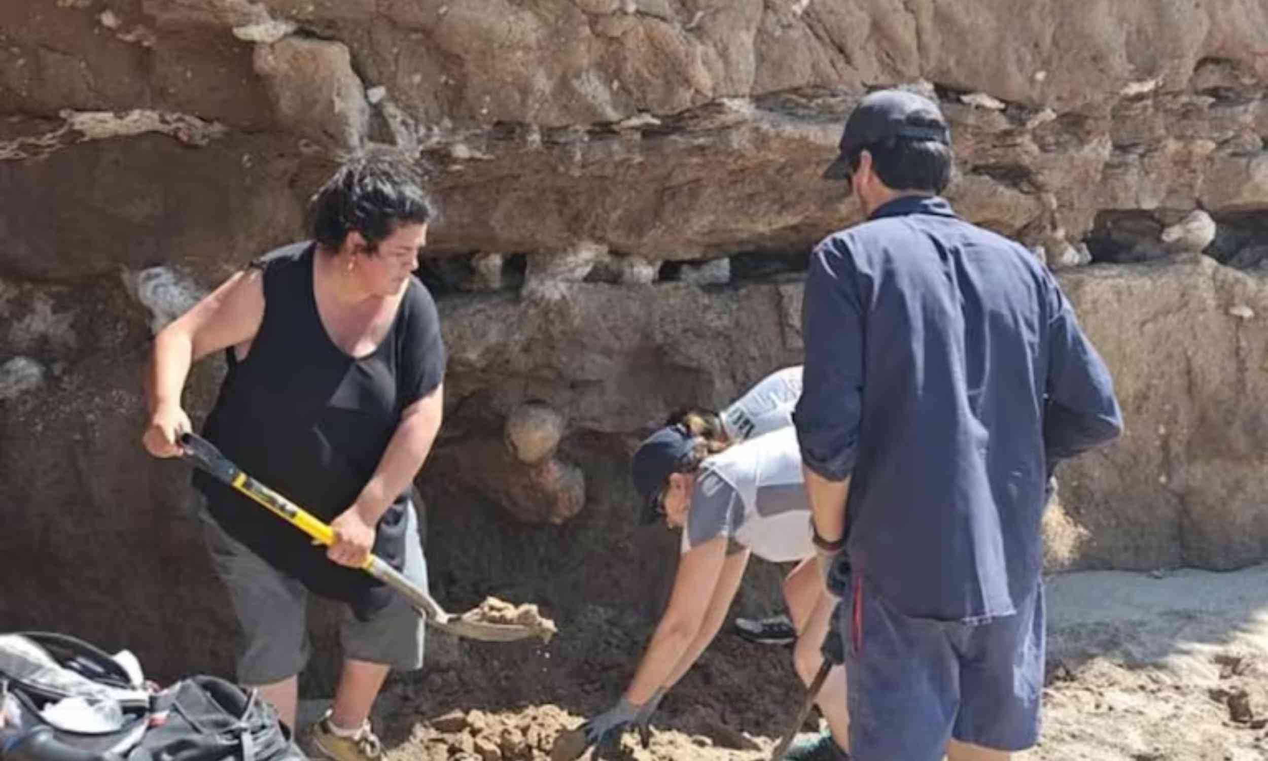 Tourist finds 400,000-year-old giant sloth femur in Argentina