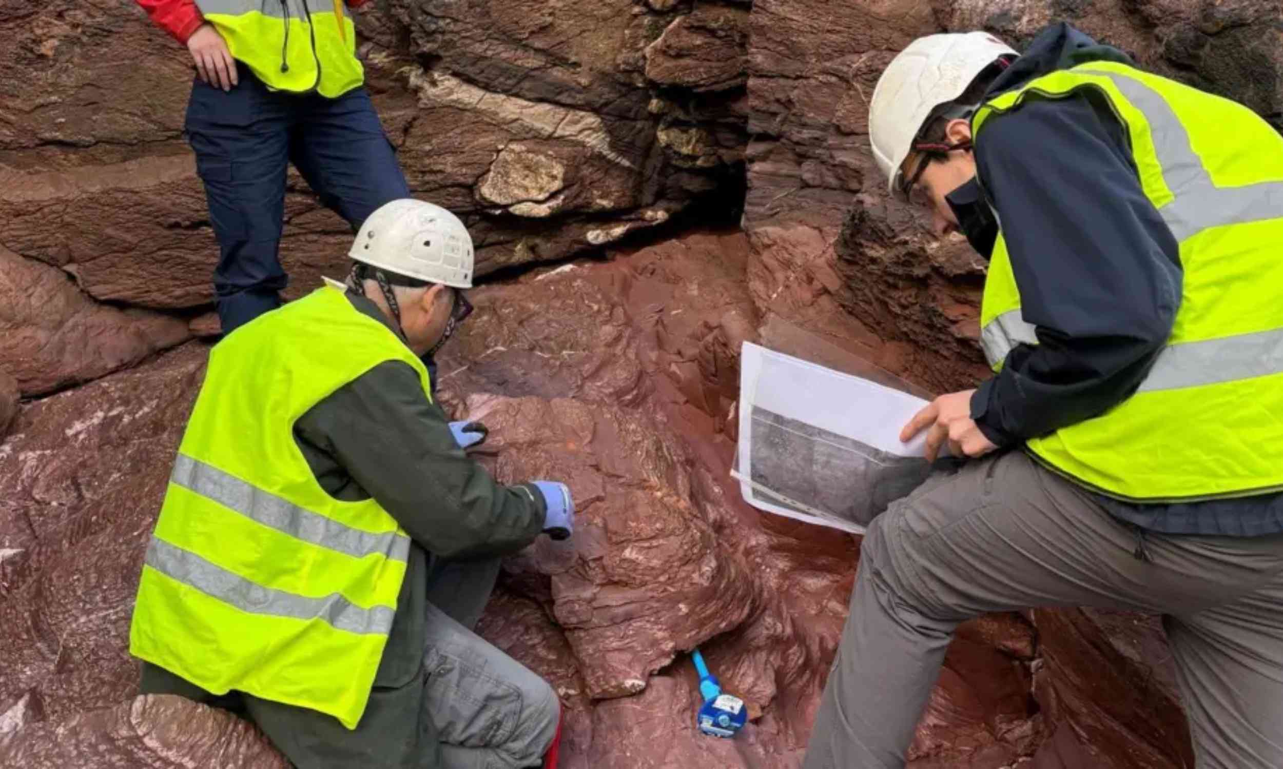 Coastal cliffs in England reveal fossil from volcanic island landscape