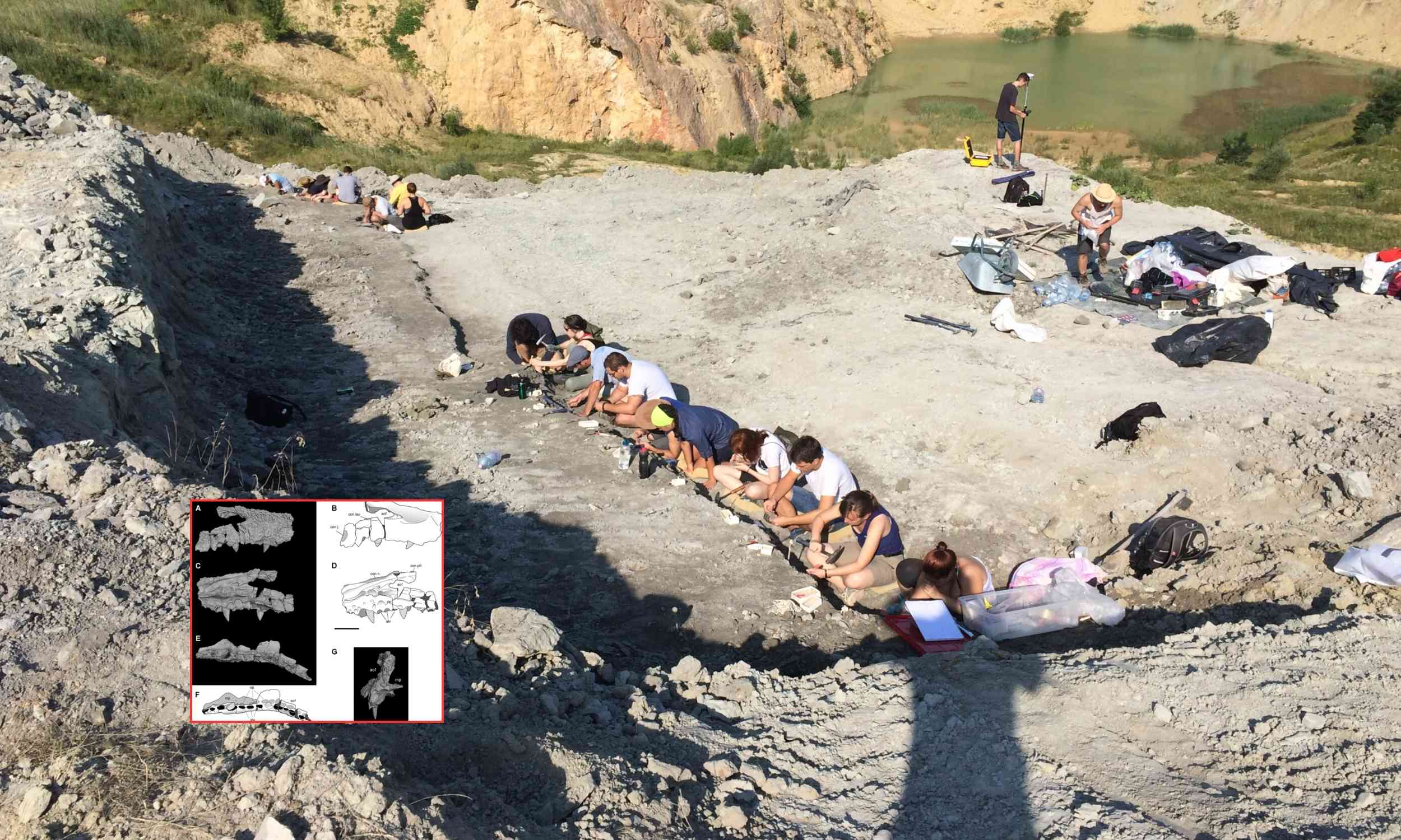 Crocodile fossil rewrites story of dinosaur-era Europe