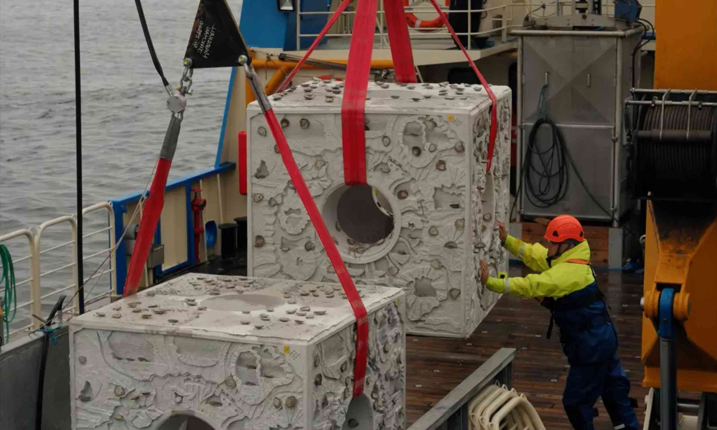 What they are dumping off the coast of England could revive a lost ecosystem