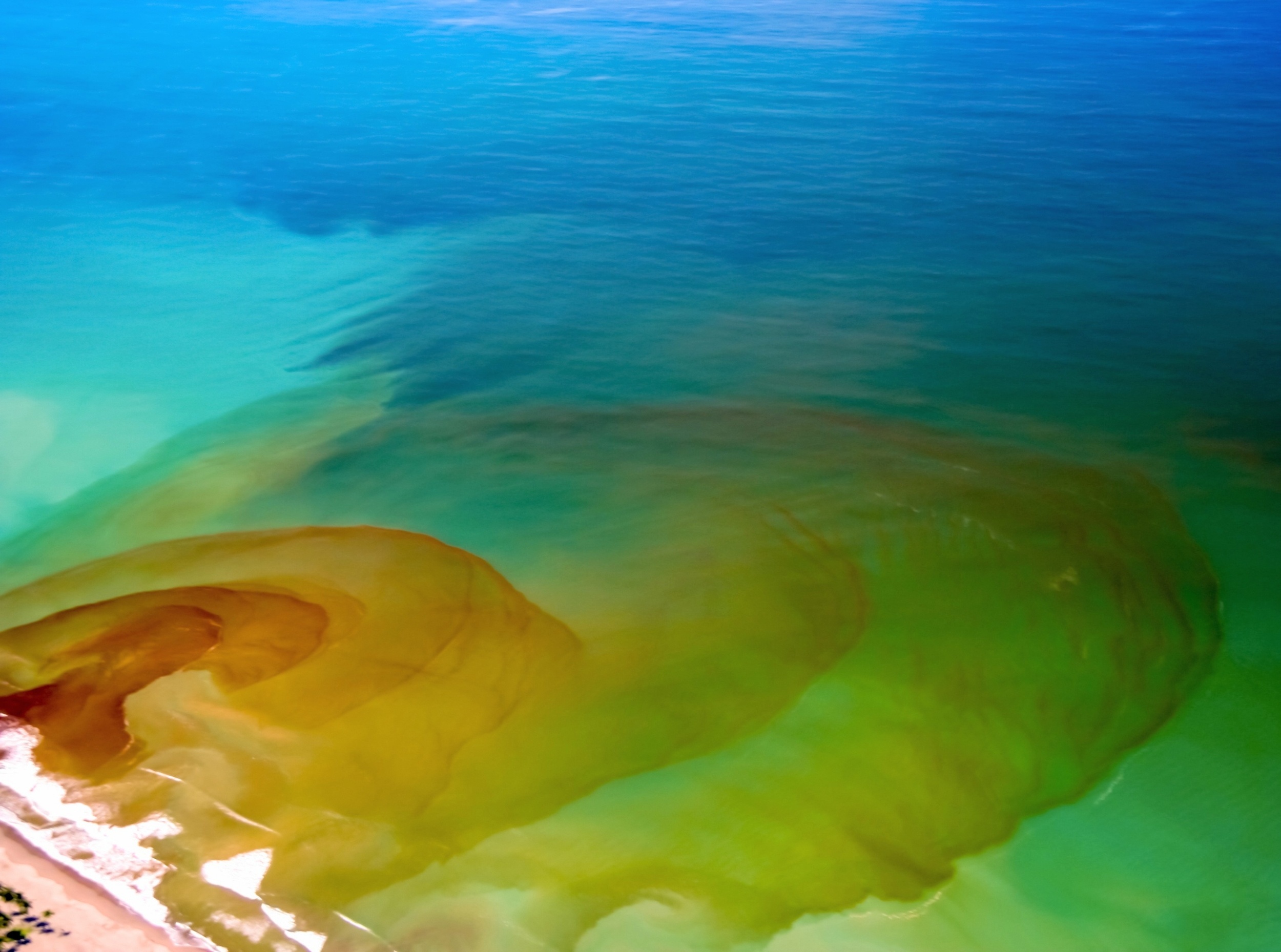 Human-made chemicals now shape ocean chemistry worldwide