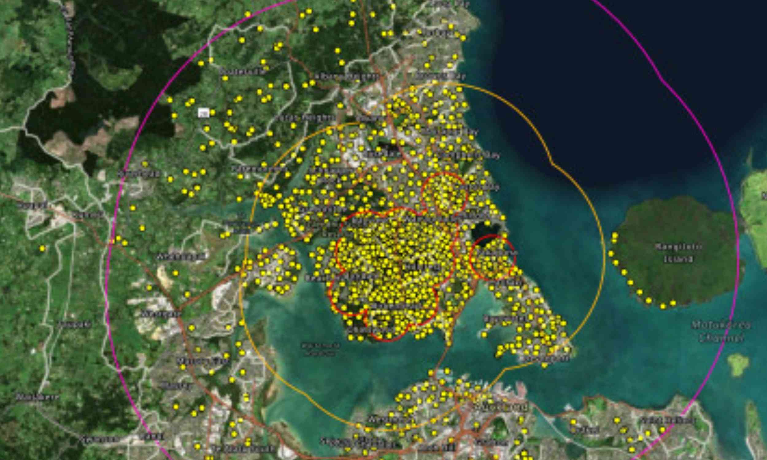 Bee-killing hornets drive urgent response in Auckland