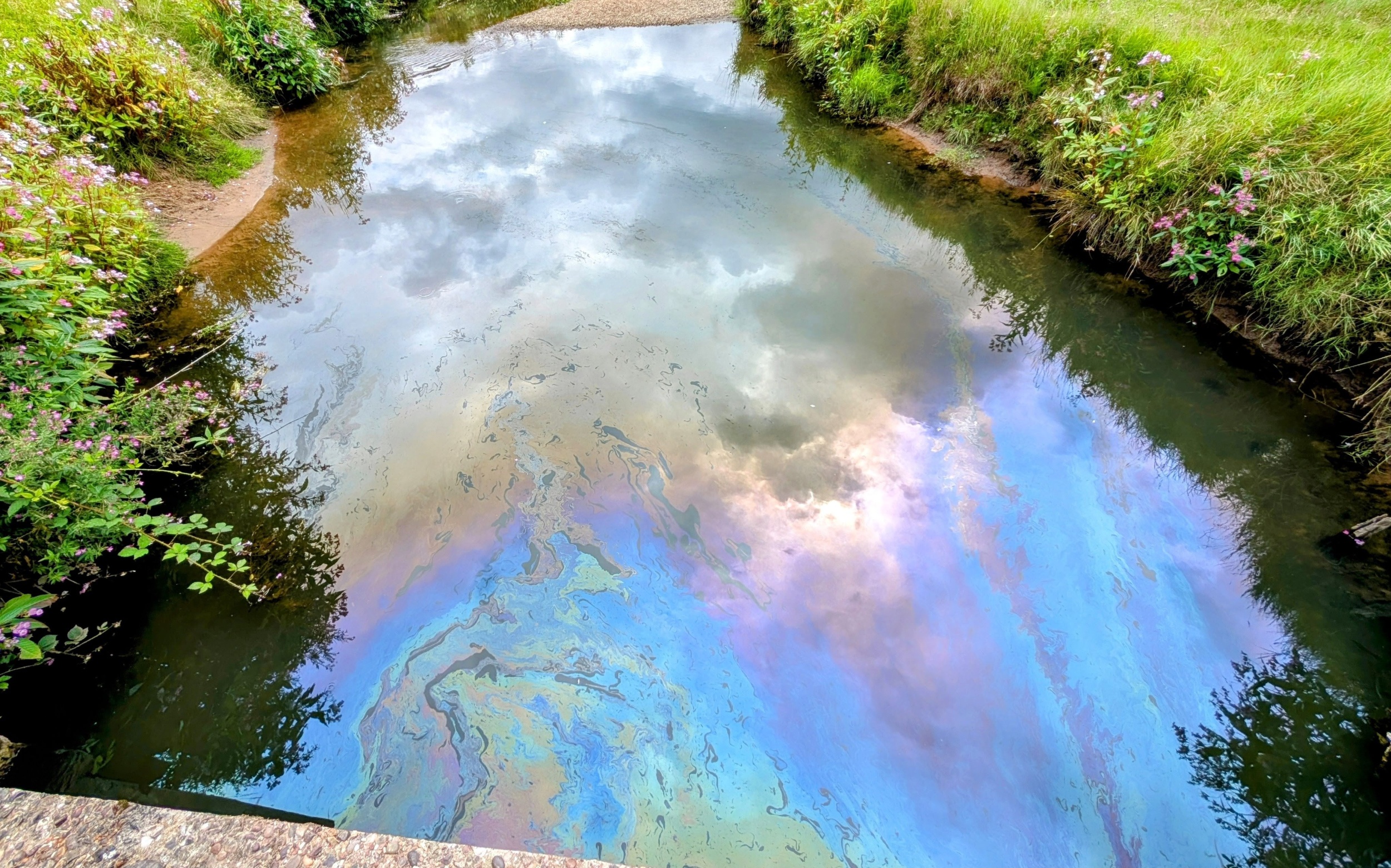 AI can now detect pollution before it spreads