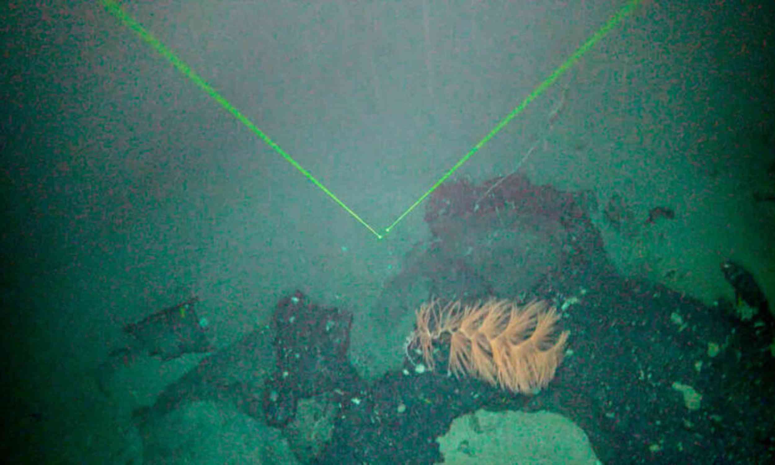 Century-old corals in South Pacific threatened by bottom trawling