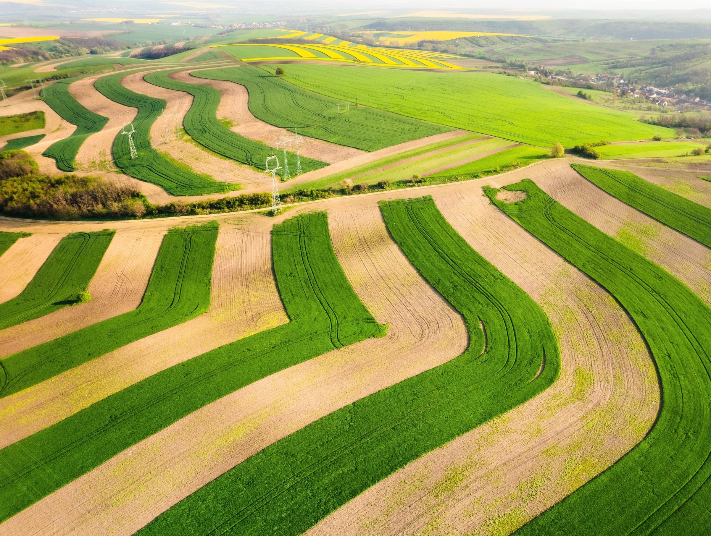 Cleaner air could help feed millions by boosting crop growth