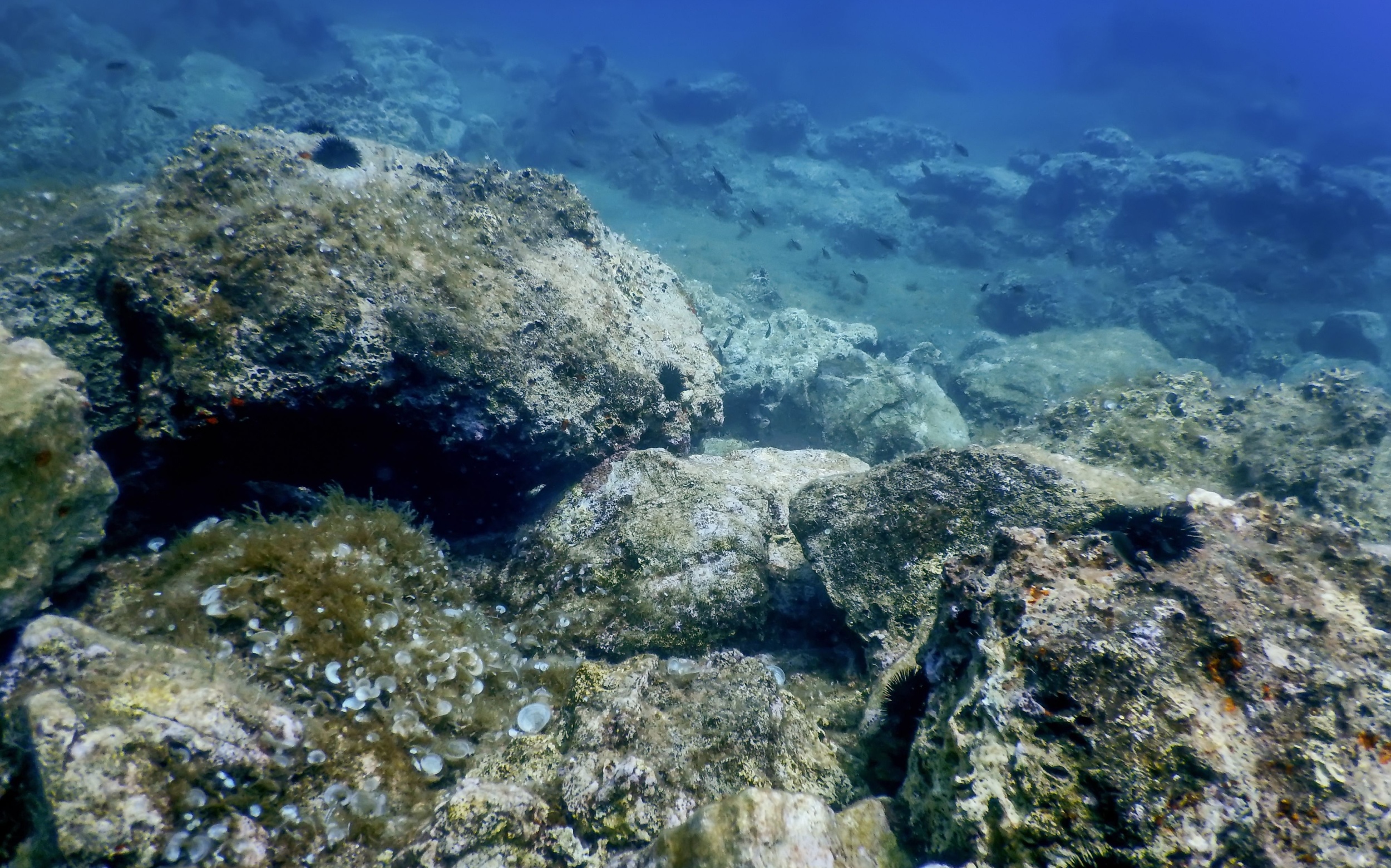 Half-billion-year-old 'rock clock' reveals ancient climate shifts