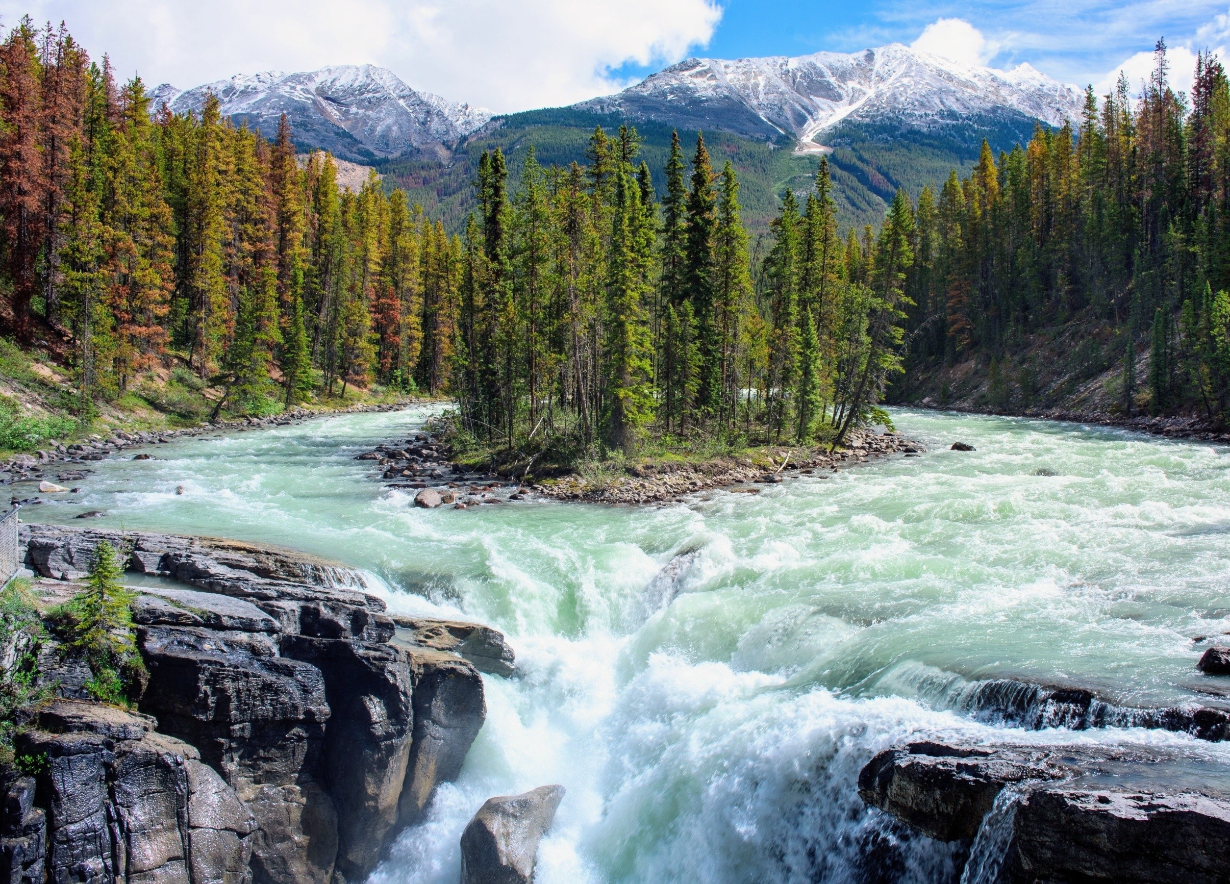 World Rewilding Day 2026: Choosing a future that puts nature first