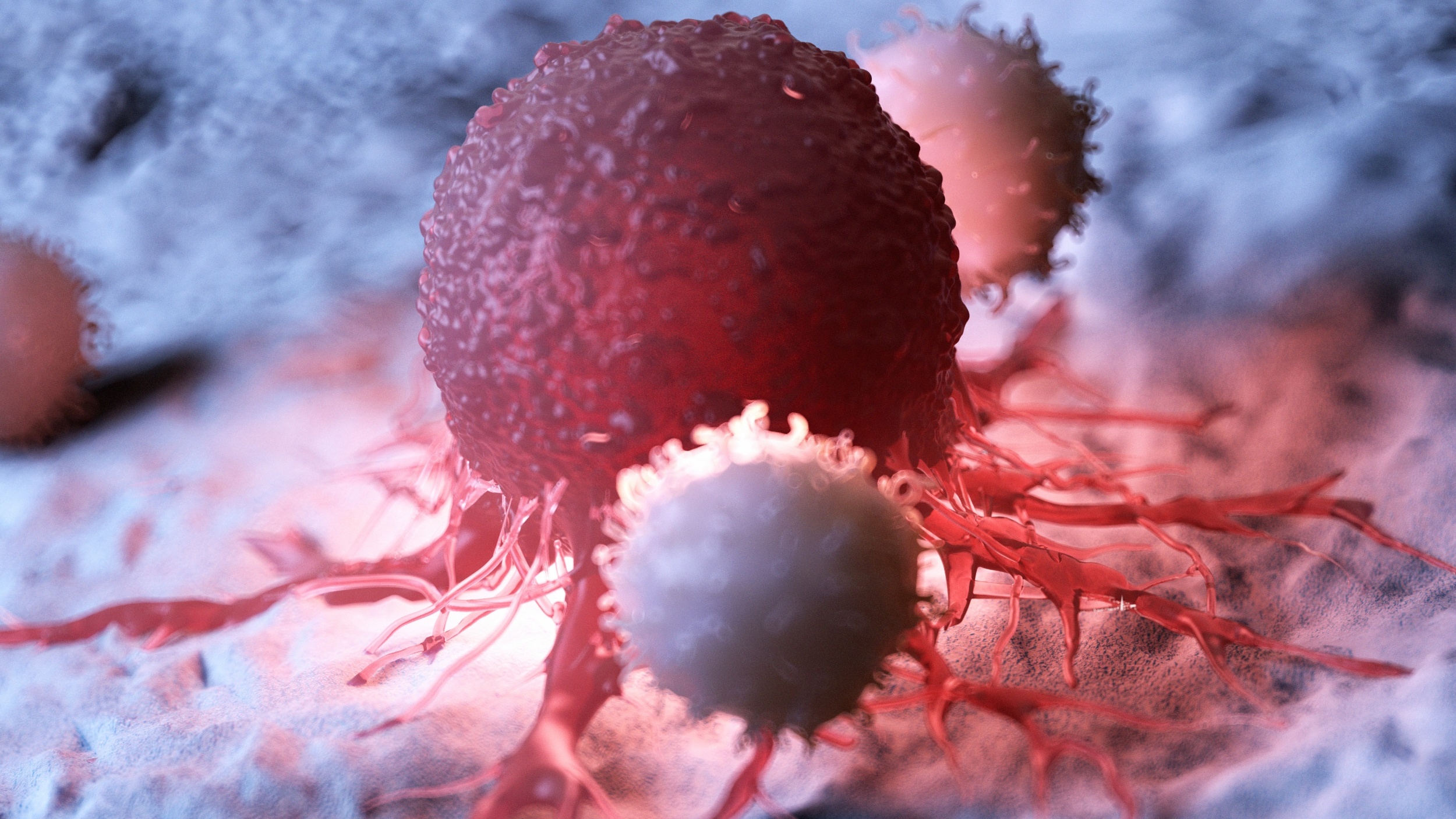 Scientists reprogram immune cells inside the body to fight cancer