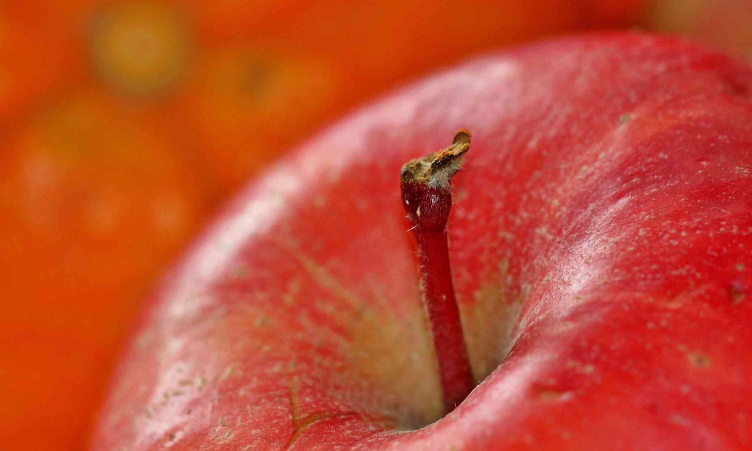 Nearly all apples in Europe contain multiple pesticides