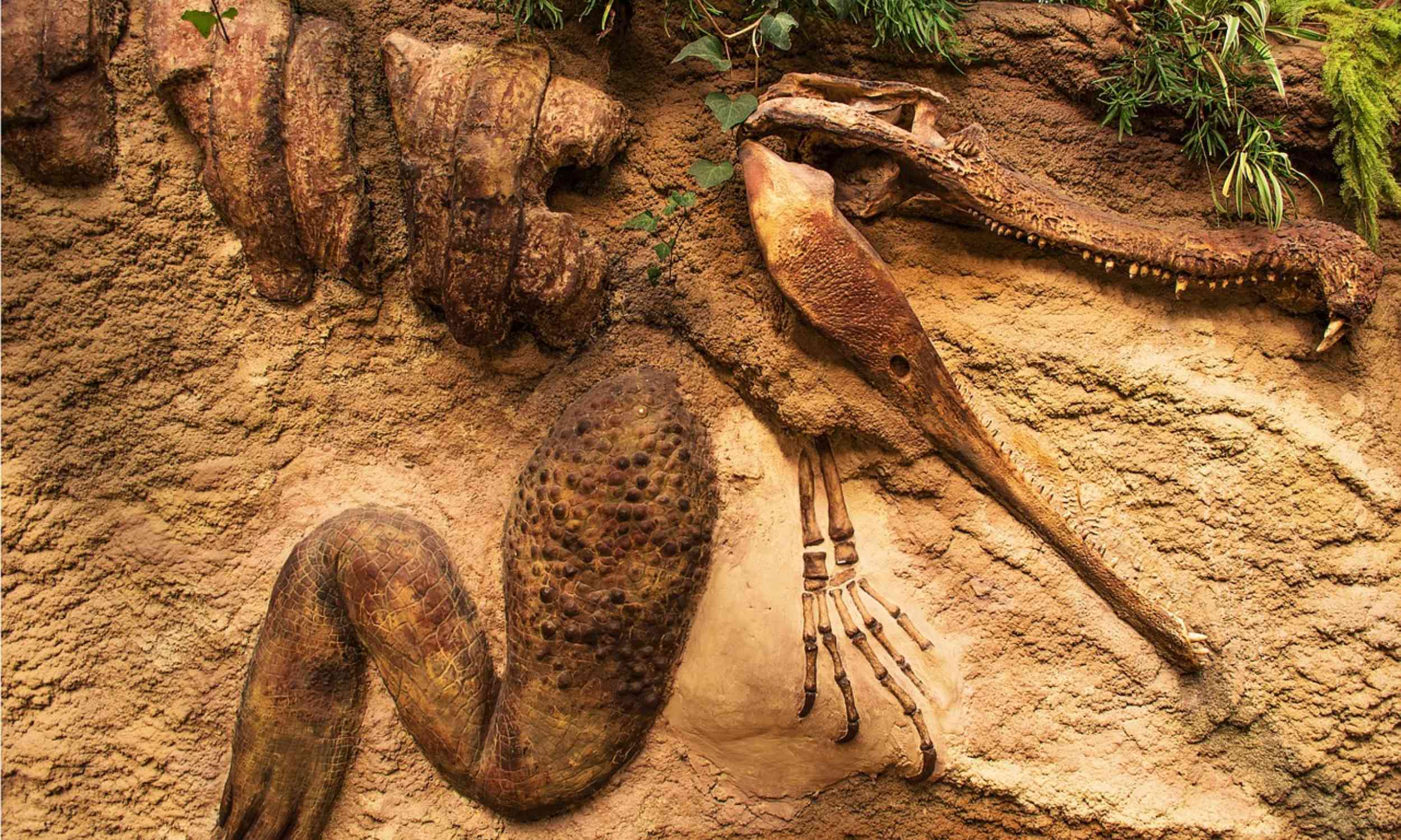 Tooth enamel emerges as key archive of ancient biomolecules