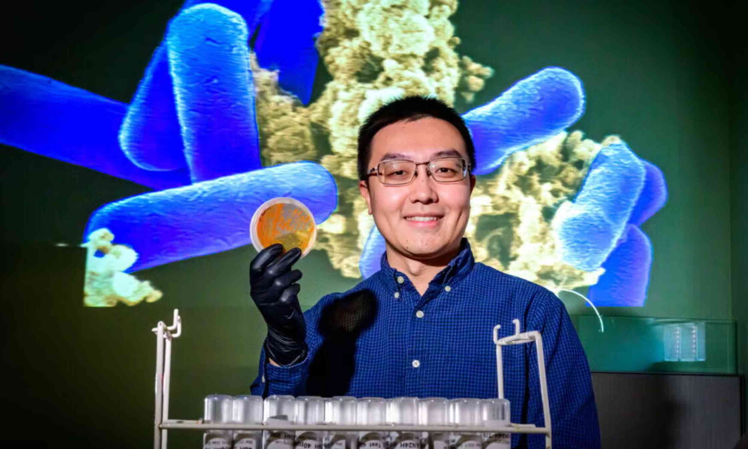 Warming oceans are changing the microbes that feed the entire food web