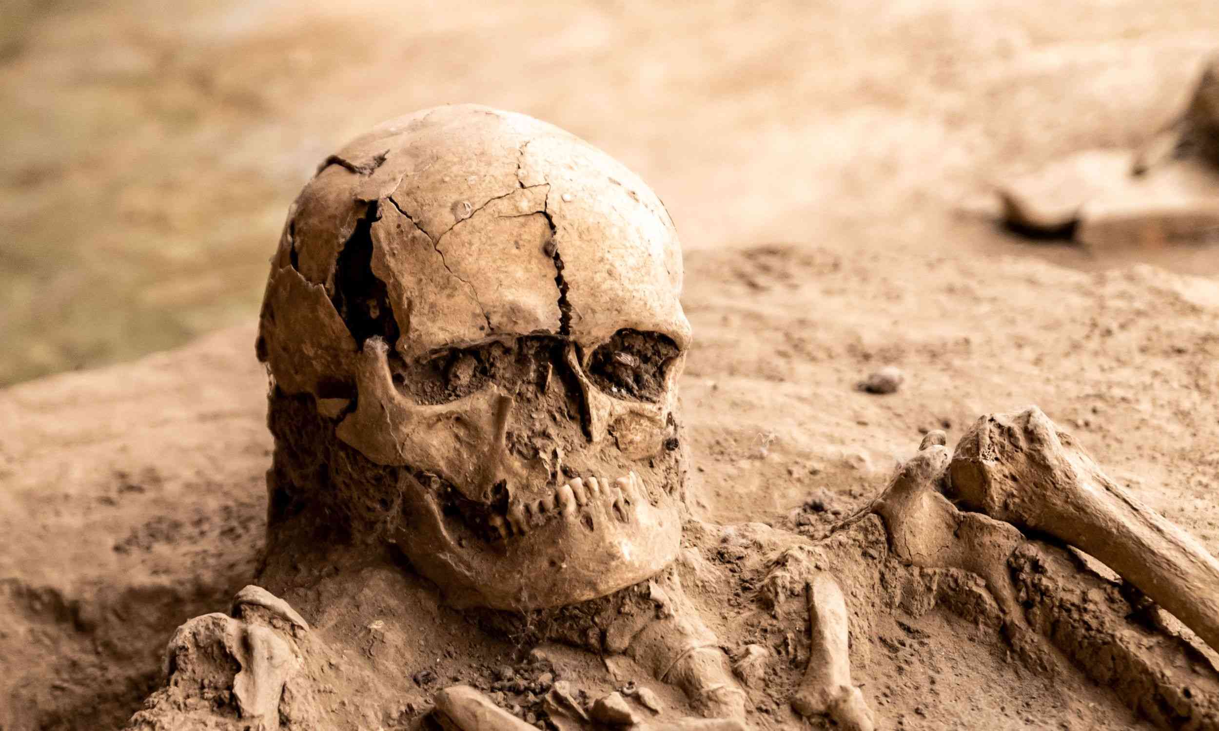 Iron Age teeth reveal stress, survival, and daily diet