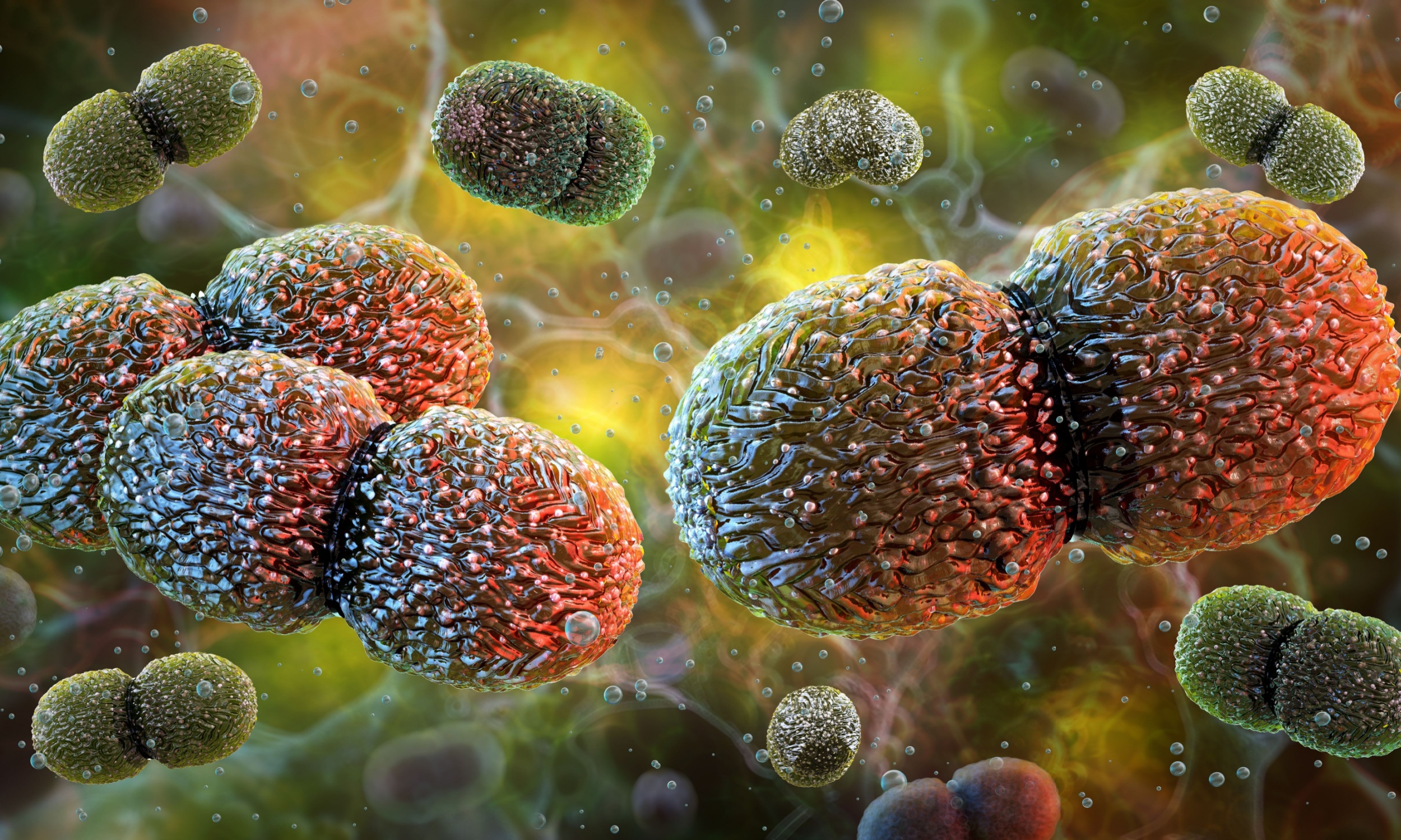 Why some wound infections become chronic