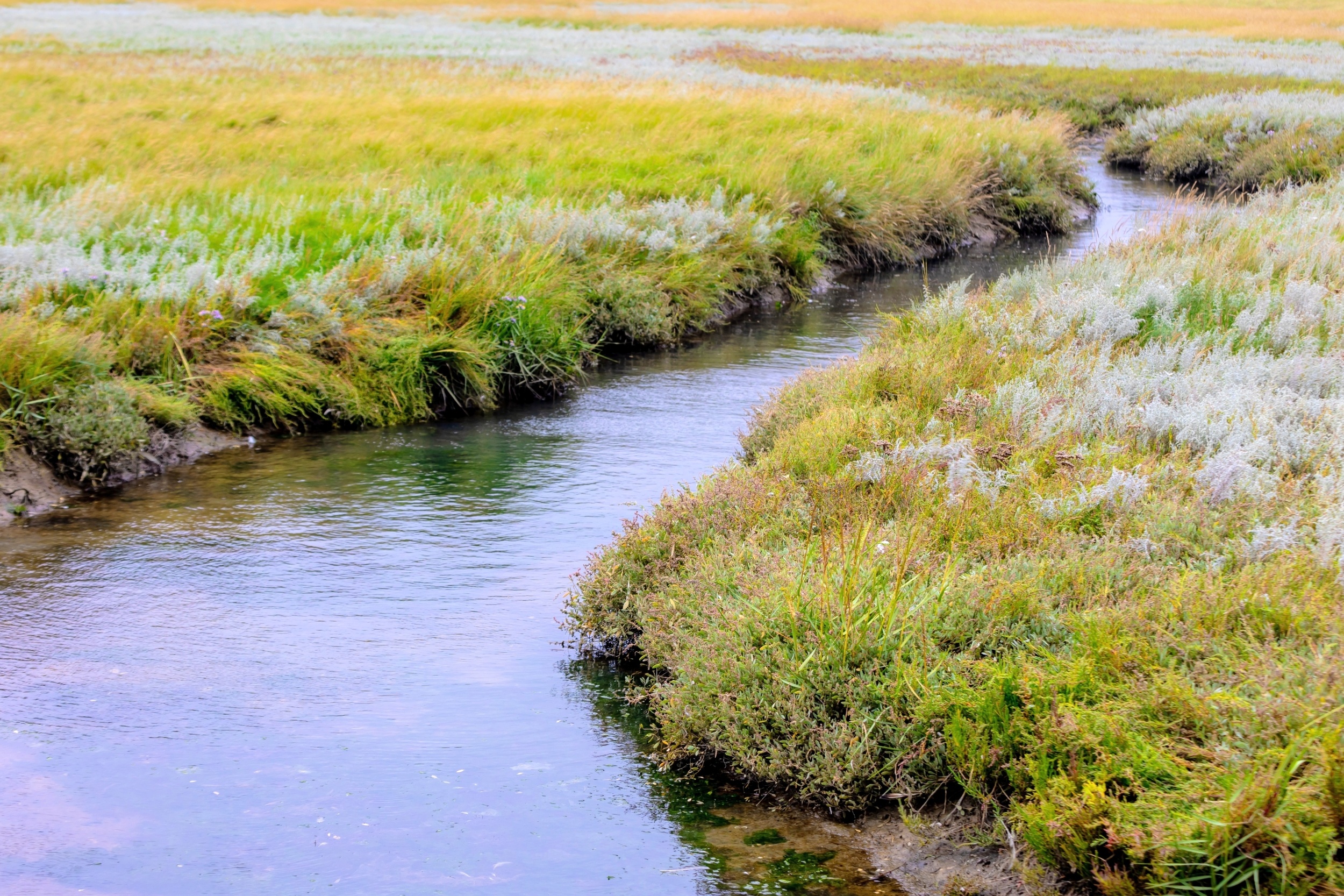 Scientists challenge timeline of human arrival in the Americas