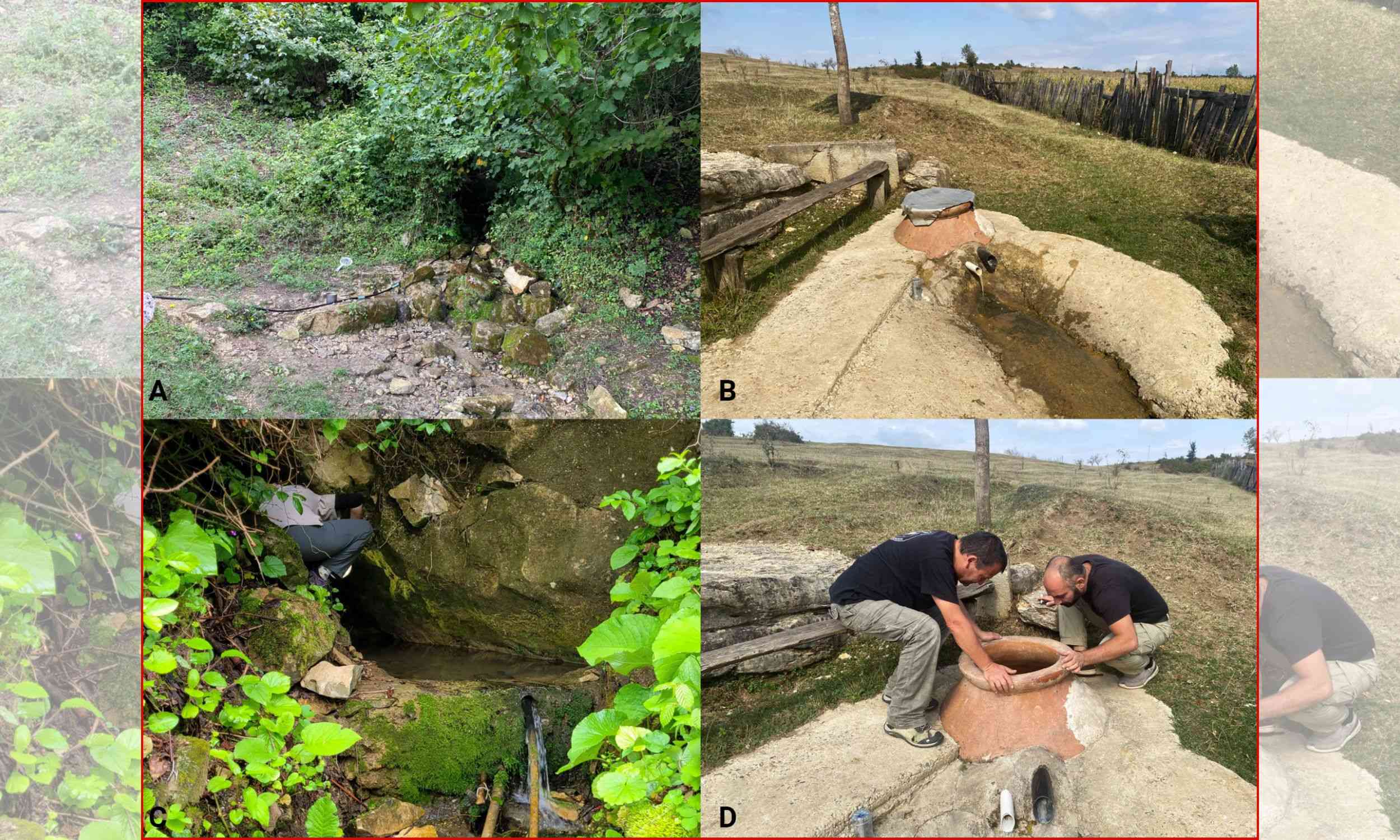 New underground snail species found deep in Georgia springs