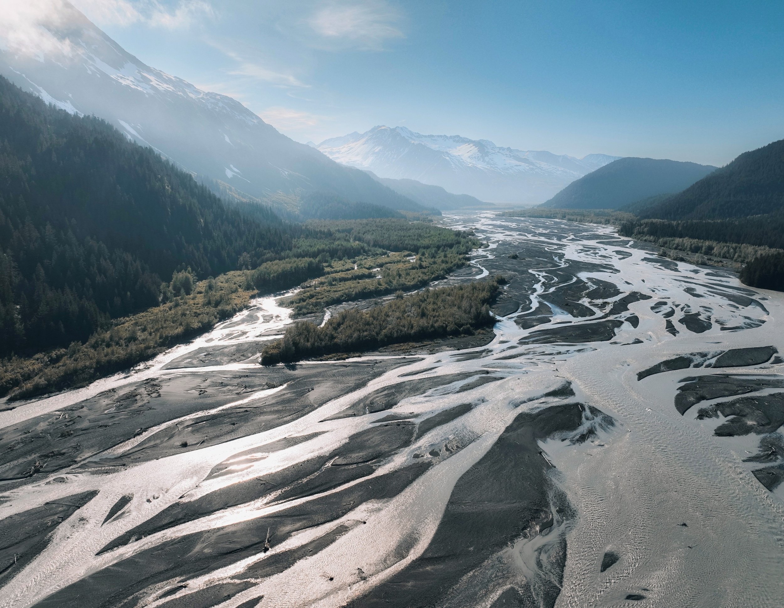 Warming rivers and invasive fish are threatening Alaska’s salmon