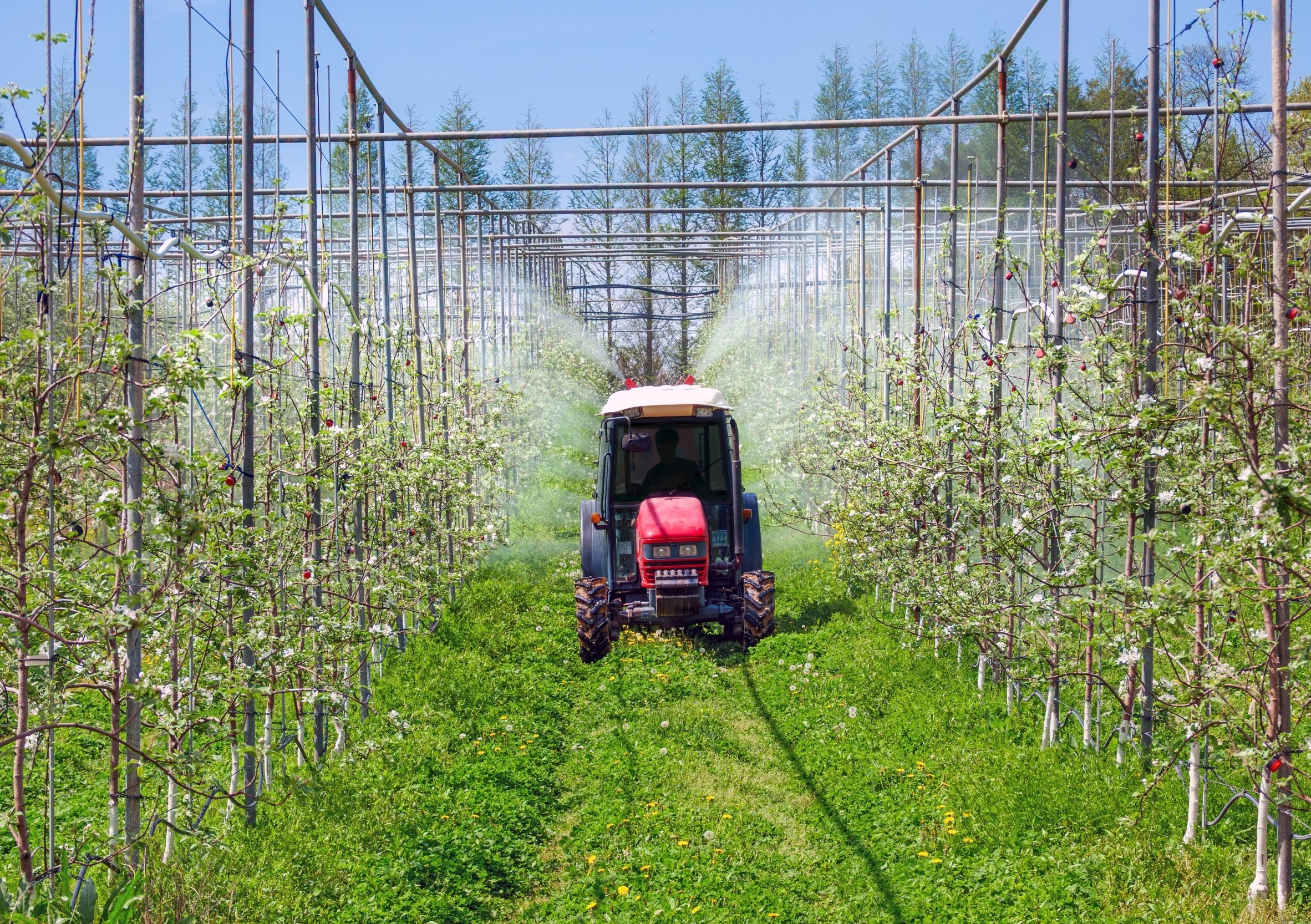 Common pesticide linked to more than double the risk of Parkinson’s disease