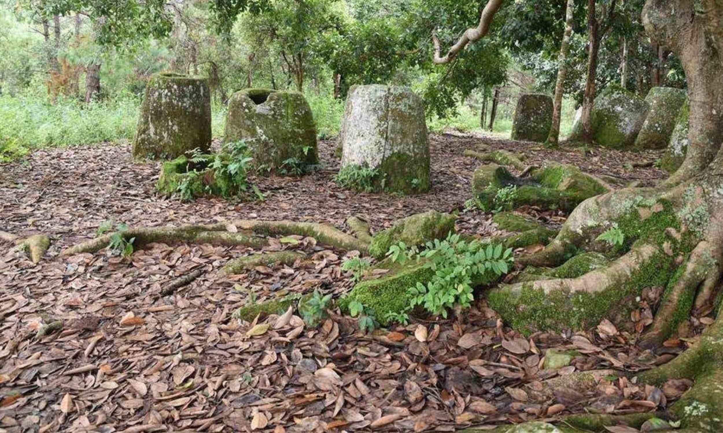 The oldest biological experiment on Earth has been ongoing for 2,000 years