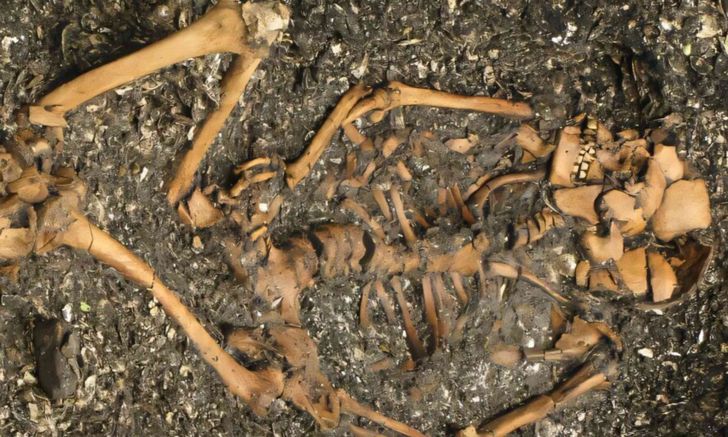 Archaeologists find an extremely rare skeleton dating back roughly 2,000 years