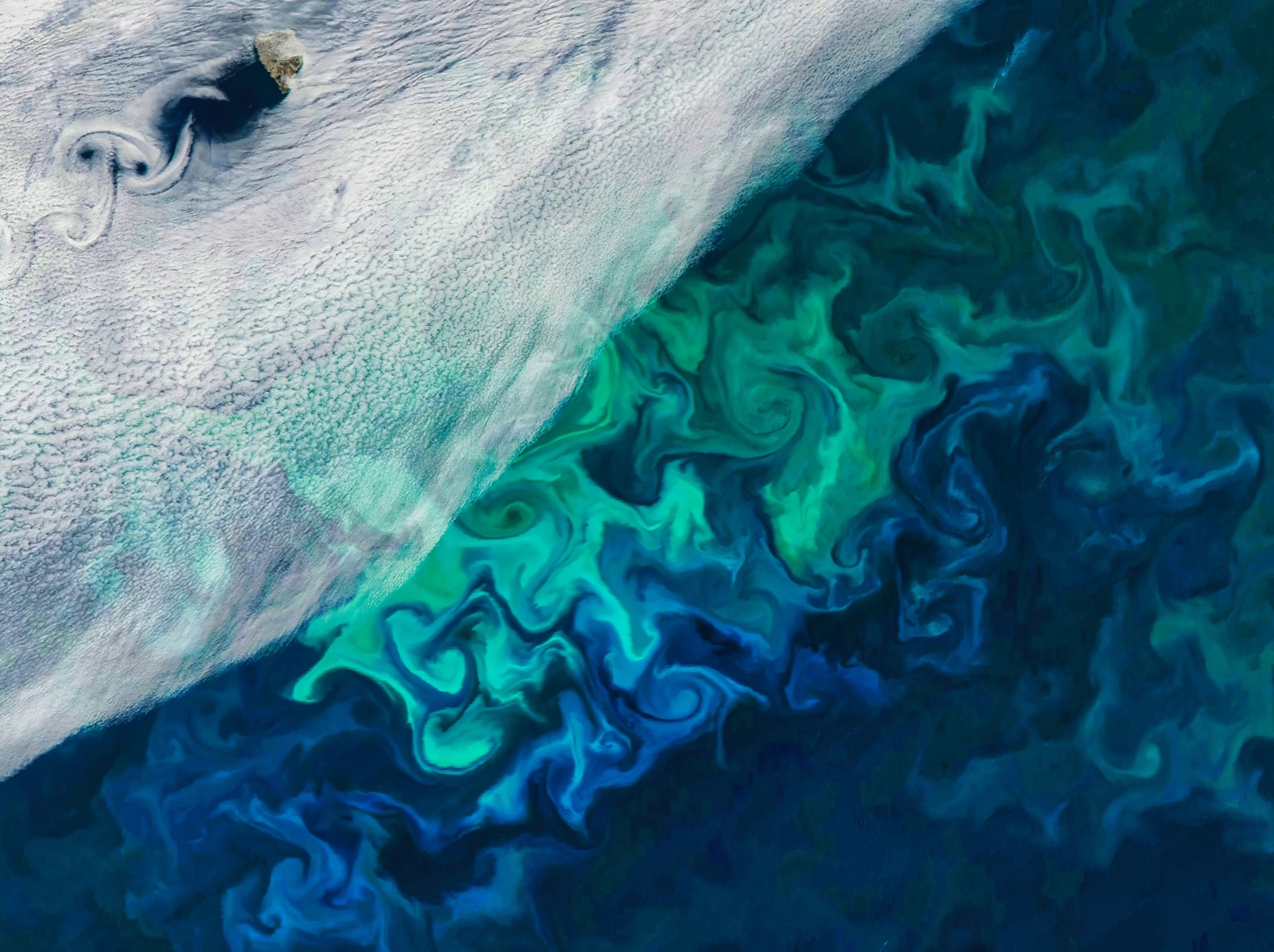 Extreme weather could help some species thrive, not just survive