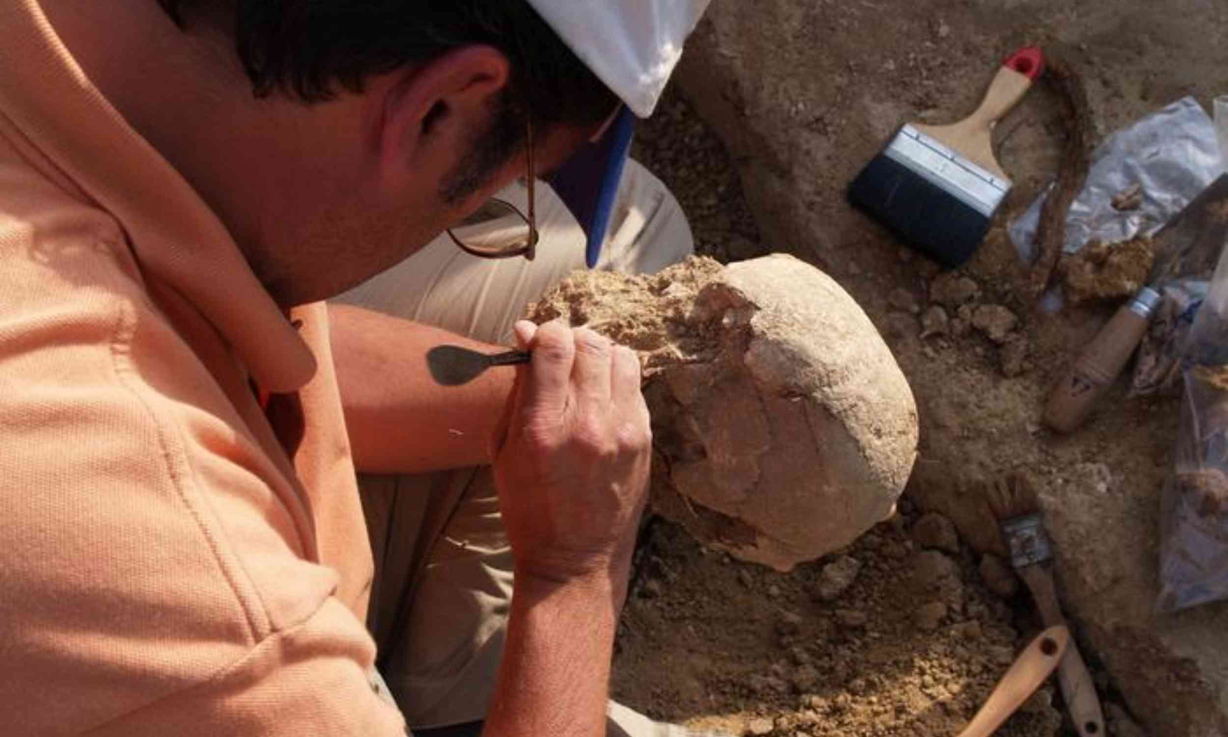 DNA analysis from an ancient burial tells an extraordinary story