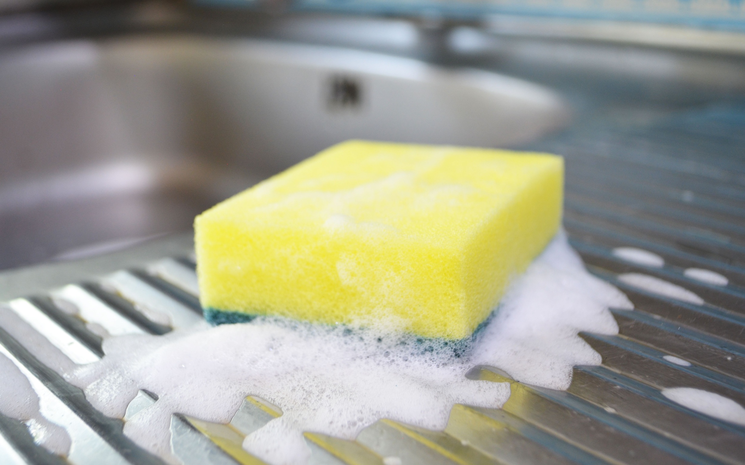 Sponges release microplastics during everyday dishwashing