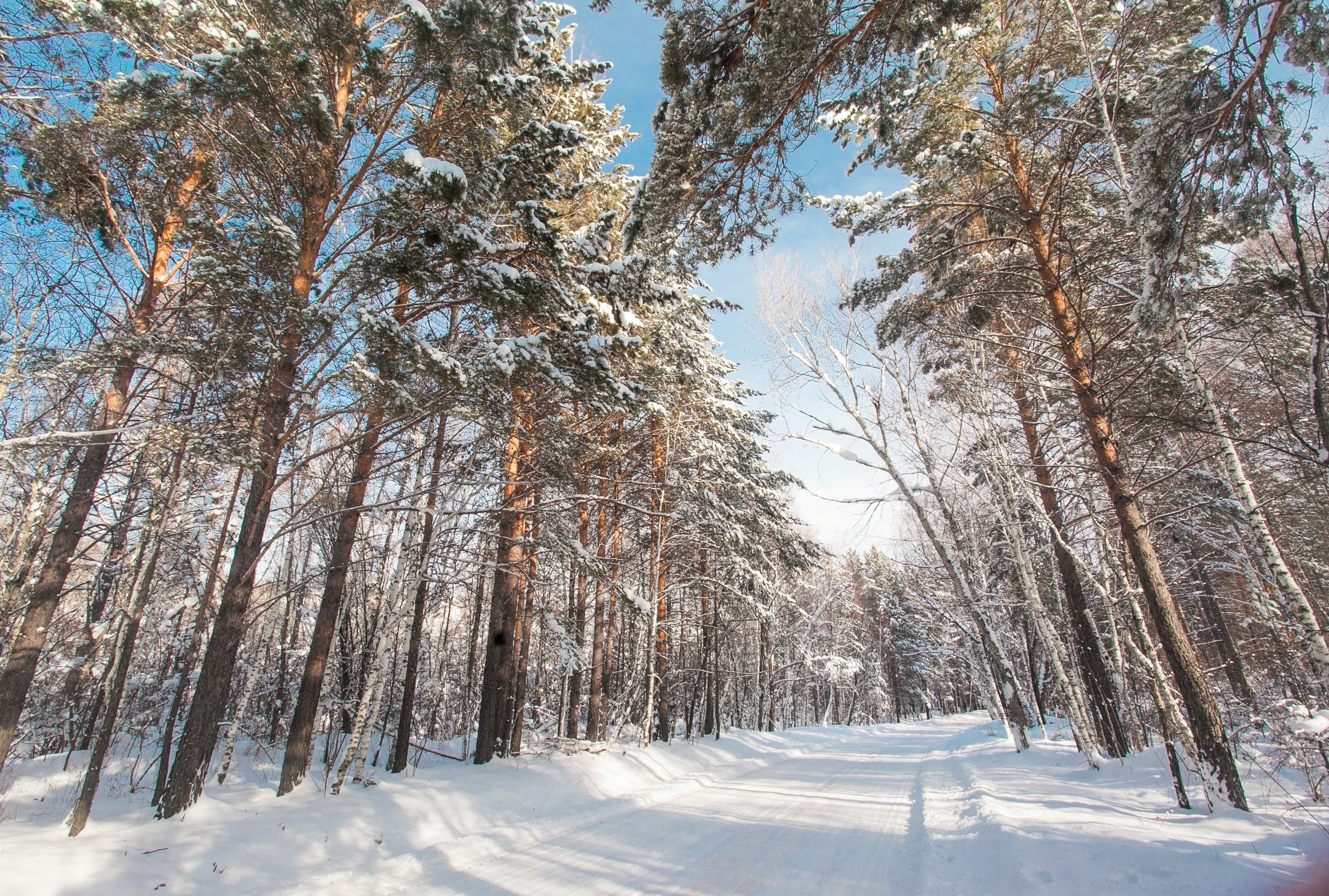 Low snowpack may be setting the stage for more severe wildfires